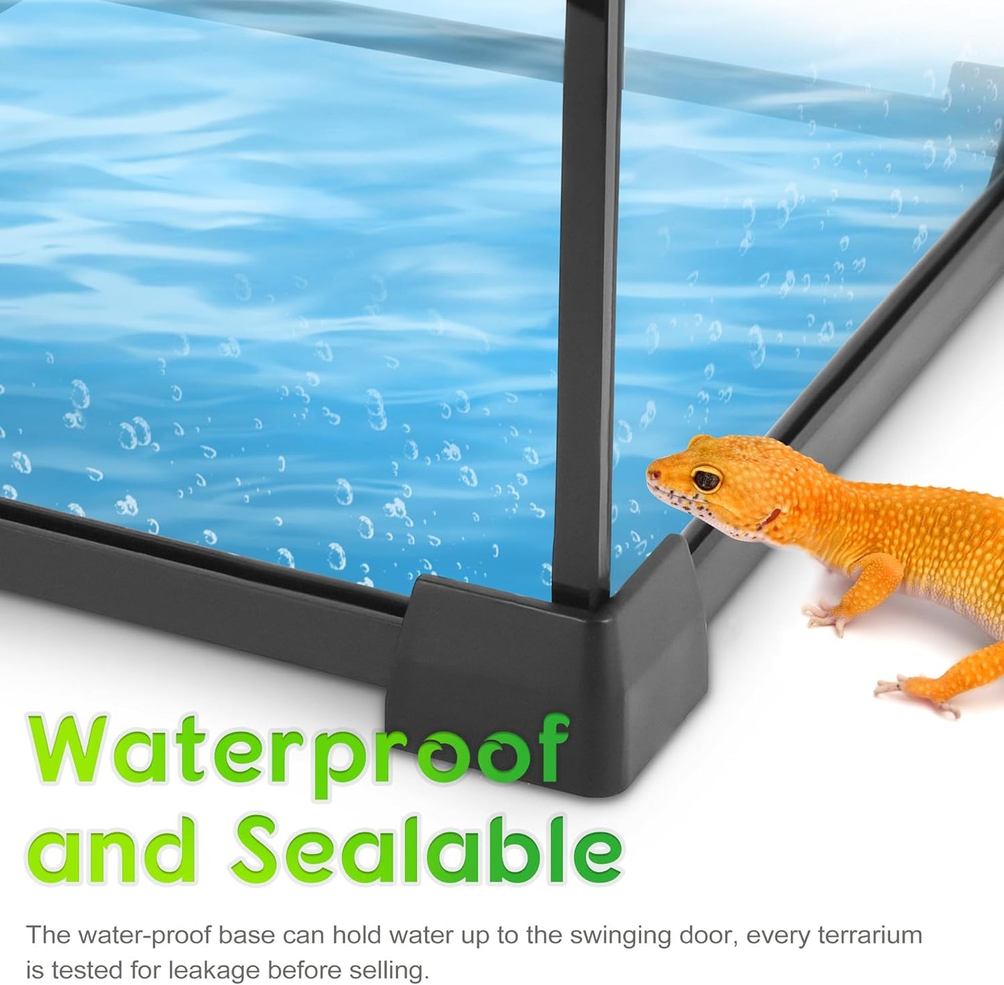 Mini Reptile Glass Terrarium 8"x8"x12" Durable Reptile Habitat Tank with Heat Resistant Aluminum Alloy Frame, Single Swinging Doors for no Jam by Sand and Other Debris