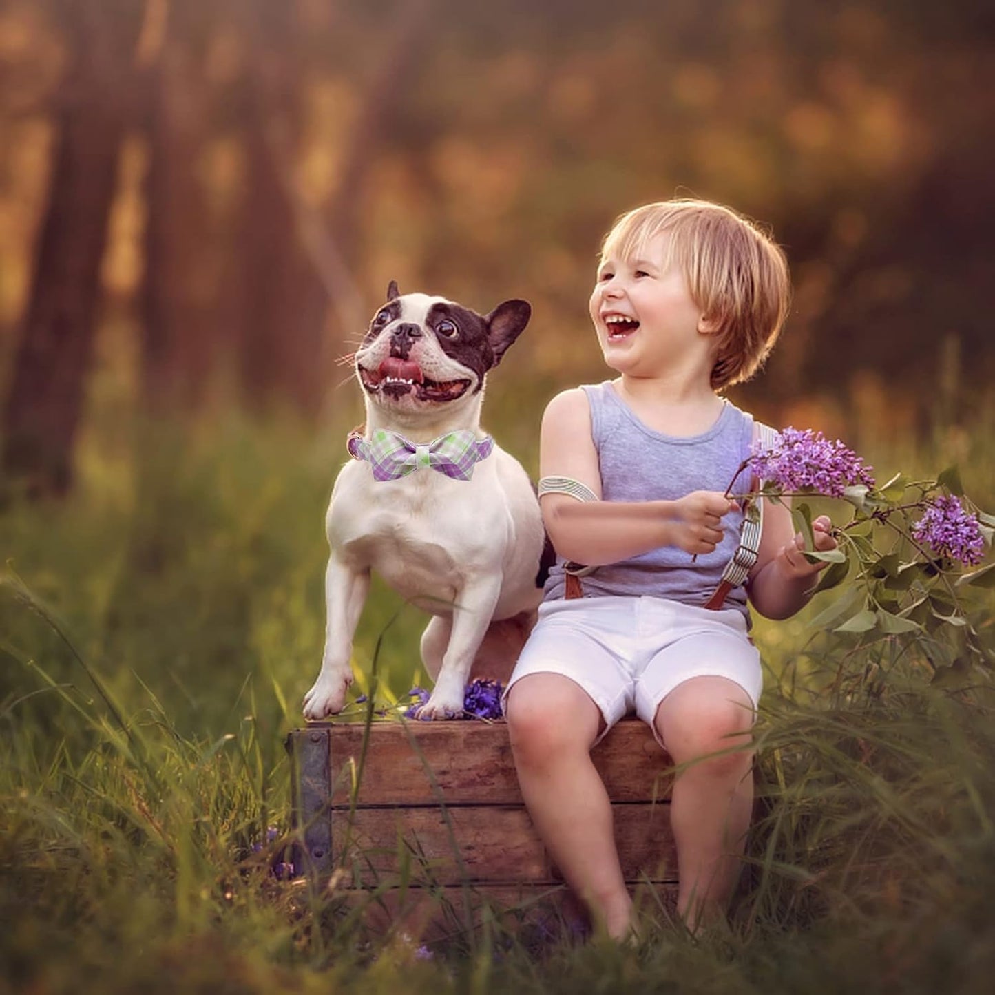 Elegant Plaid Collar With Cute Bow for X-Small Puppy and Cat