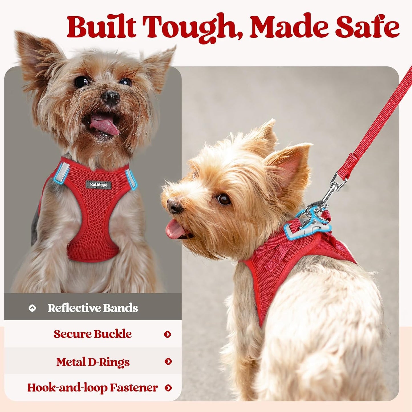 rabbitgoo Dog Harness Small Sized and Leash Set, Step in Soft Light Puppy Vest, Breathable Mesh Pet Harness, Reflective for Safe Easy Walking, Red S