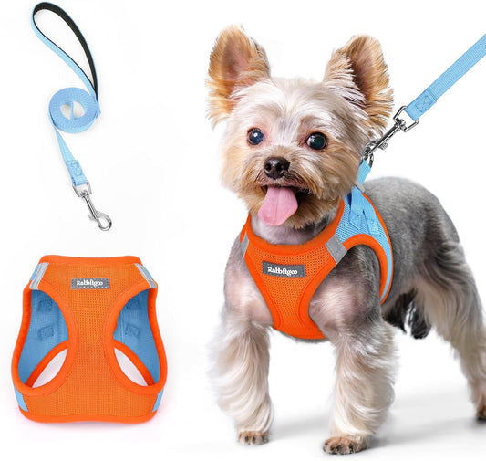rabbitgoo Dog Harness Small Sized and Leash Set, Step in Soft Light Puppy Vest, Breathable Mesh Pet Harness, Reflective for Safe Easy Walking, Blue & Orange XS