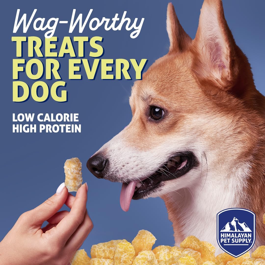 Barkeetos Dog Treats, Crunchy and Cheesy Pet Snacks Made with Real Himalayan Cheese & Chicken, Gluten Free, Grain Free, Lactose Free, Natural Dog Food for All Breeds and Sizes - 3 Pack