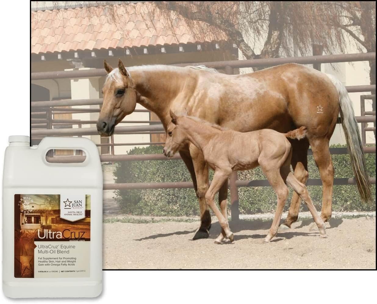 UltraCruz® Equine Multi-Oil Blend, 4 x 1 gal