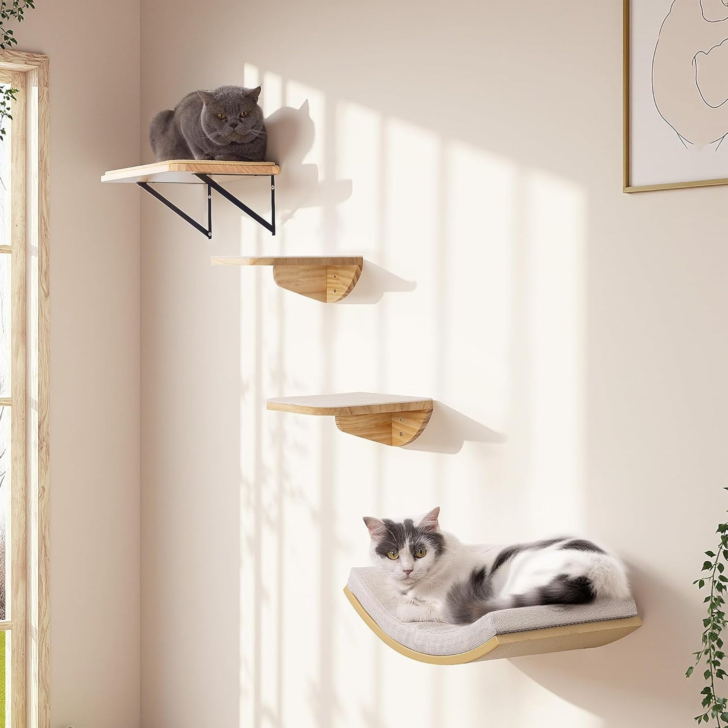 Wood Cat Wall Shelf with Soft Foam Cushion, Curved Cats Wall Bed for Large Cats, Floating Cat Perch for Sleeping & Climbing
