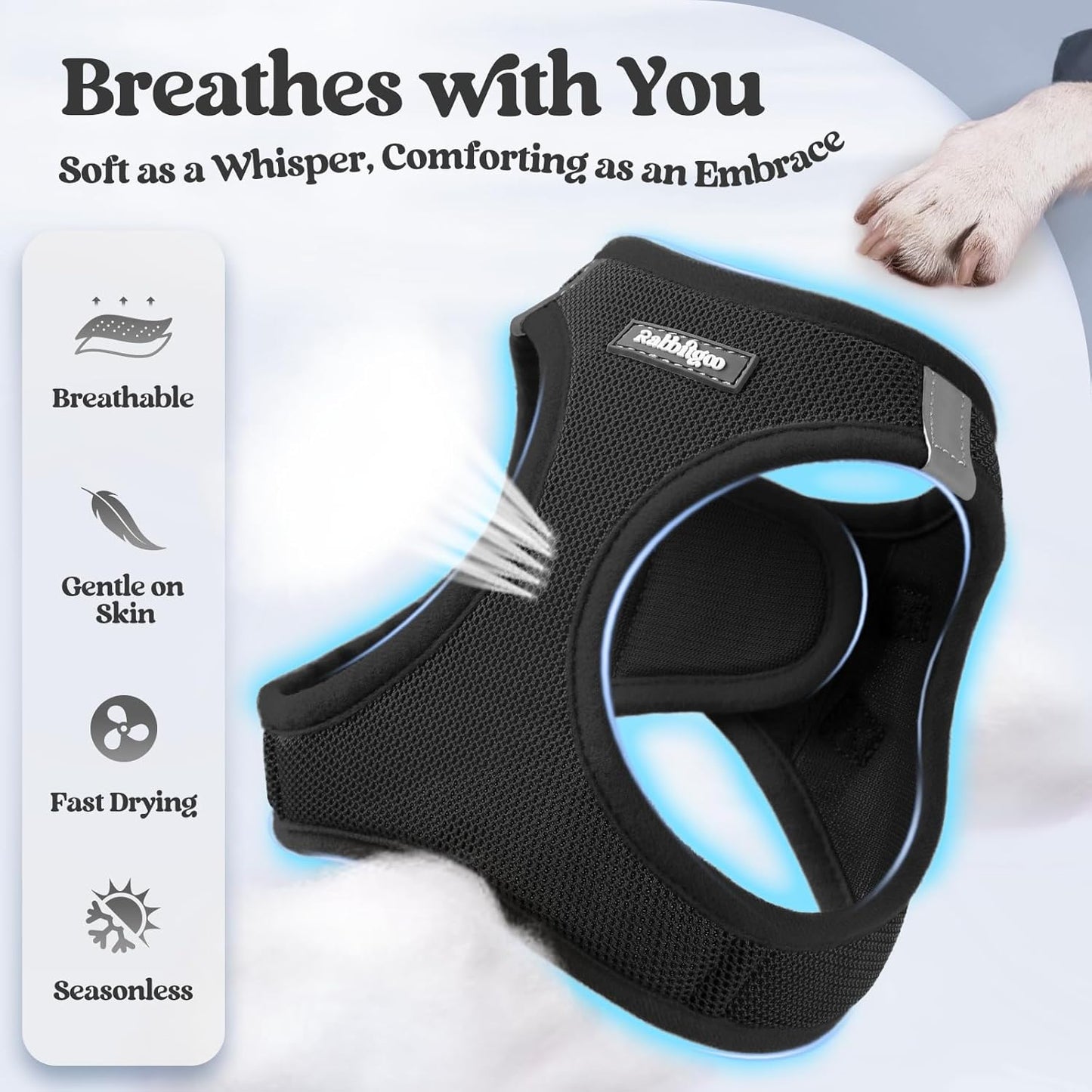 rabbitgoo Dog Harness Small Sized and Leash Set, Step in Soft Light Puppy Vest, Breathable Mesh Pet Harness, Reflective for Safe Easy Walking, Black XS