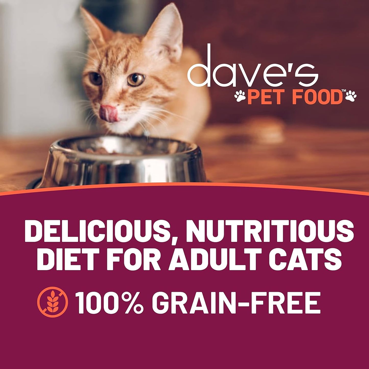 Dave's Pet Food Grain Free Wet Cat Food Pate (Chicken Formula), Made in USA Naturally Healthy Canned, Added Vitamins & Minerals, 5.5 oz Cans (24 Pack)