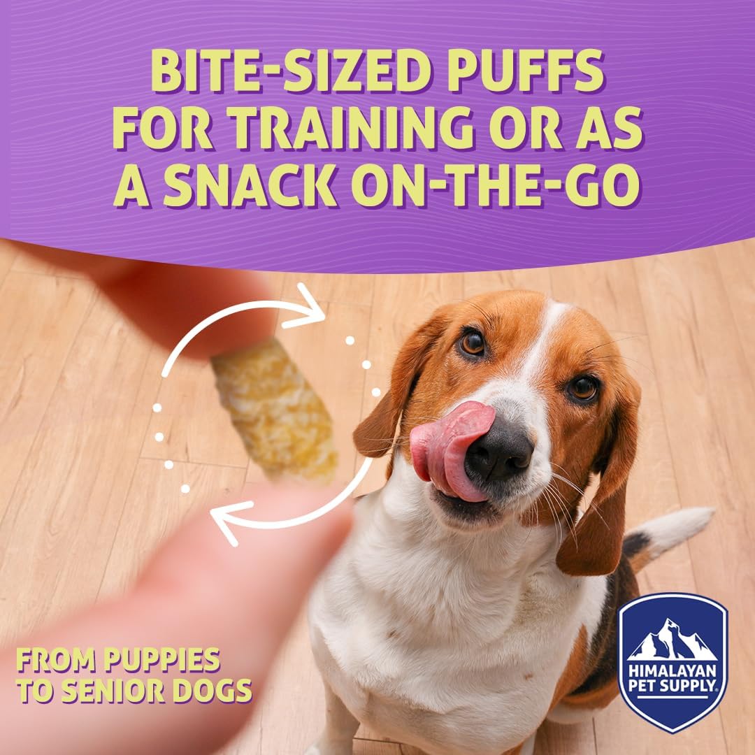 Barkeetos Dog Treats, Crunchy and Cheesy Pet Snacks Made with Real Himalayan Cheese and Peanut, Gluten Free, Grain Free, Lactose Free, Natural Dog Food for All Breeds and Sizes