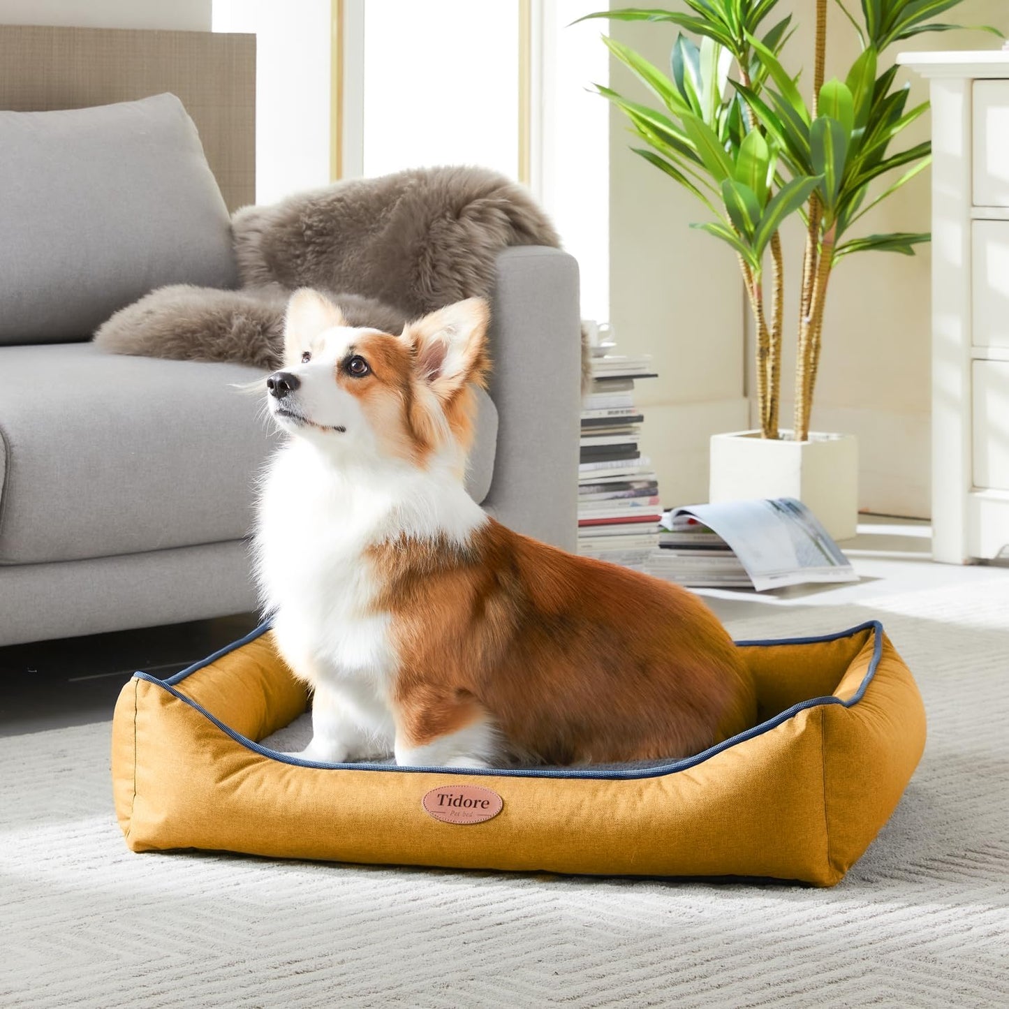 Orthopedic Dog Beds for Medium Dogs, Durable Egg Crate Foam Sofa Dog Bed wit Washable Removable Cover,Waterproof Lining,Pet Bed for Large Dogs (Mustard Yellow, 31.5" L x 25.2" W x 7" Th)