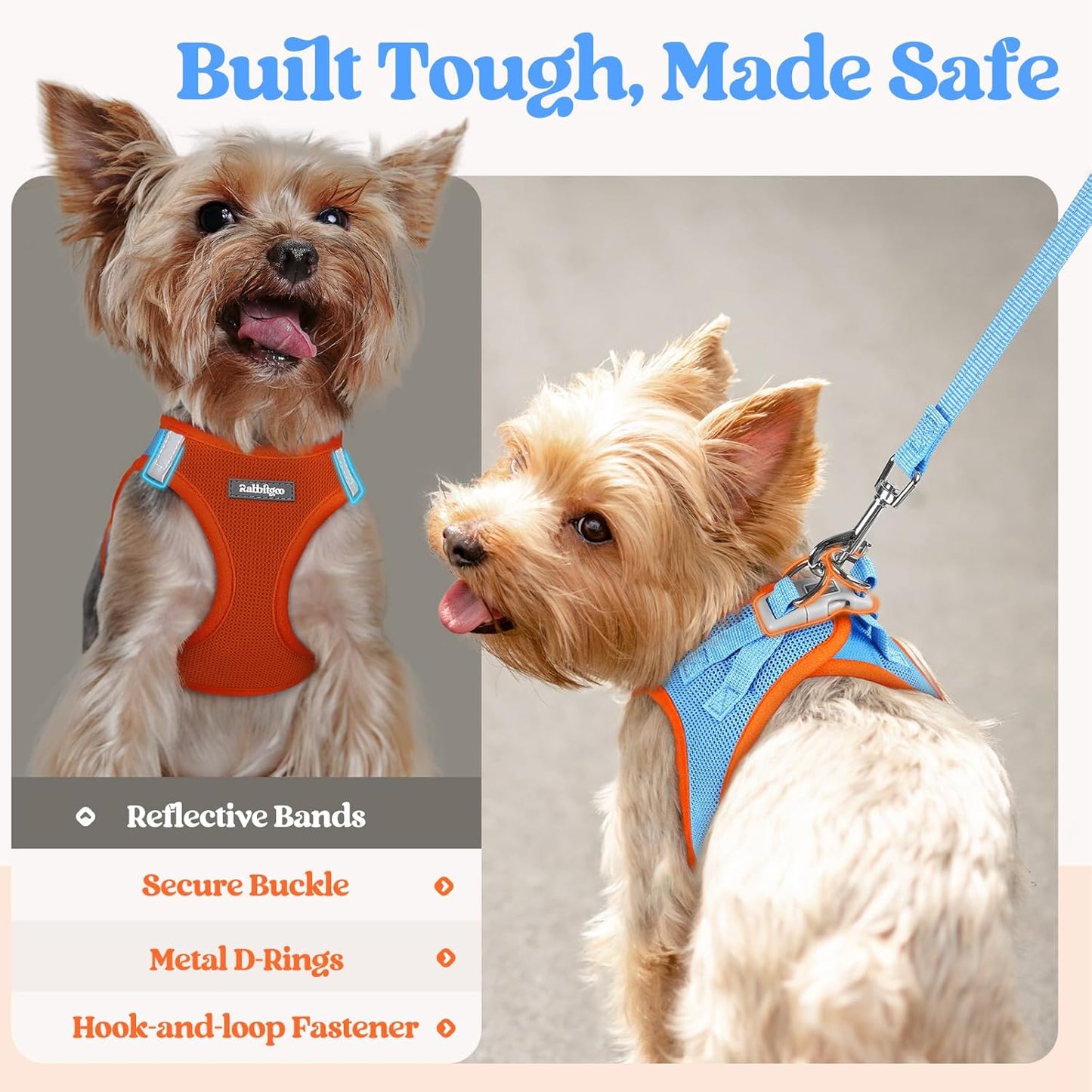 rabbitgoo Dog Harness Small Sized and Leash Set, Step in Soft Light Puppy Vest, Breathable Mesh Pet Harness, Reflective for Safe Easy Walking, Blue & Orange XXS