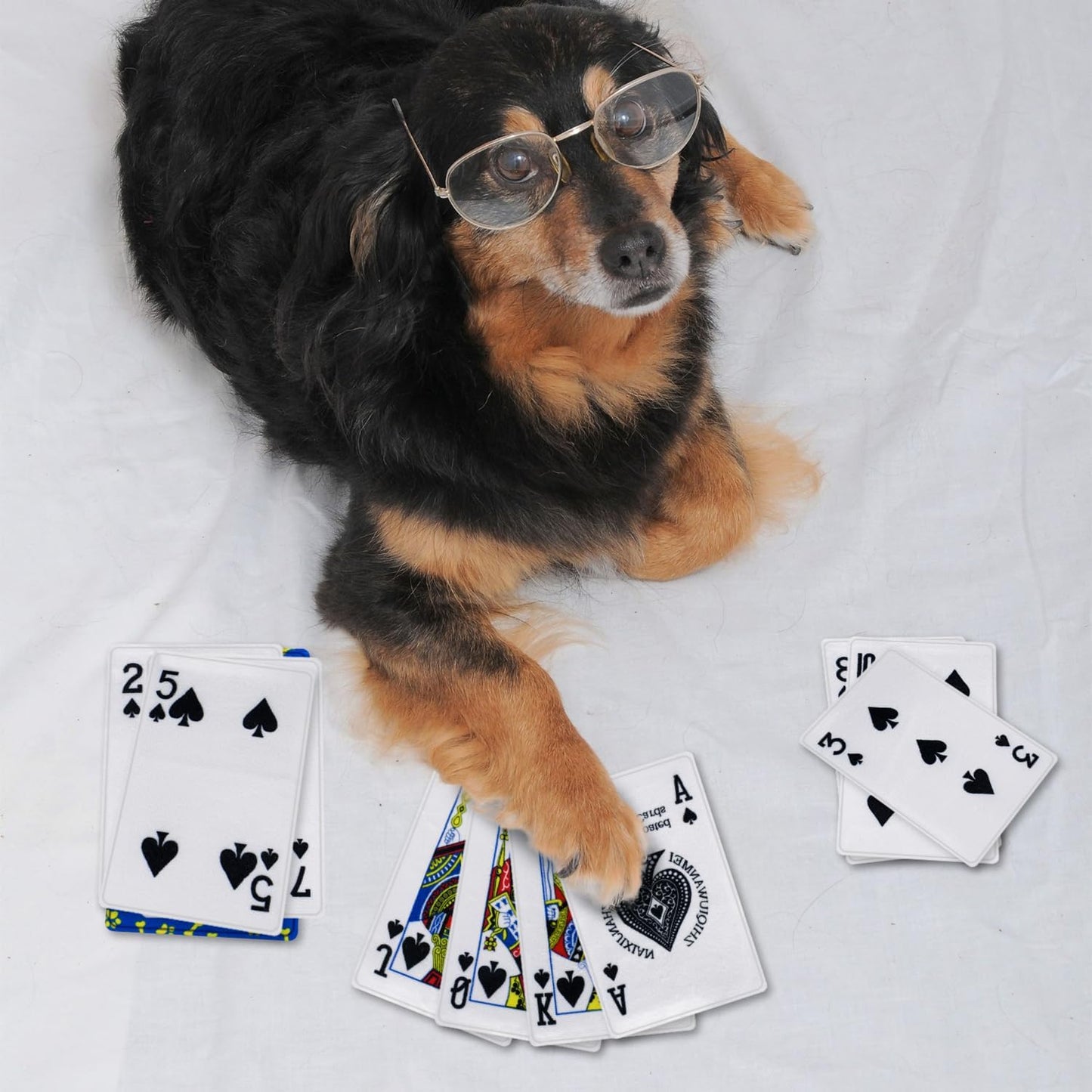 15PCS Funny Poker Dog Toys- Plush Interactive Toys with Crinkle Paper for Small, Medium Puppies- Fun Novelty Play- Cool Stuffed Gifts for Dog Birthday(Black)