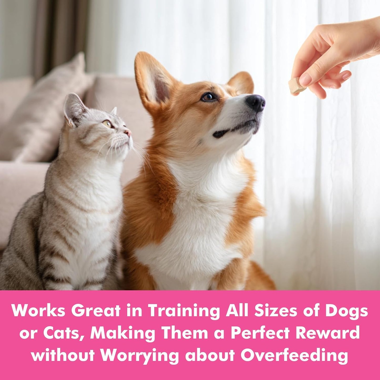 Freeze Dried Cats & Dogs Raw Treats, All Natural Single Ingredient Chicken Liver, High Protein Healthy Pet Training Treats or Food Topper, 3.5 oz