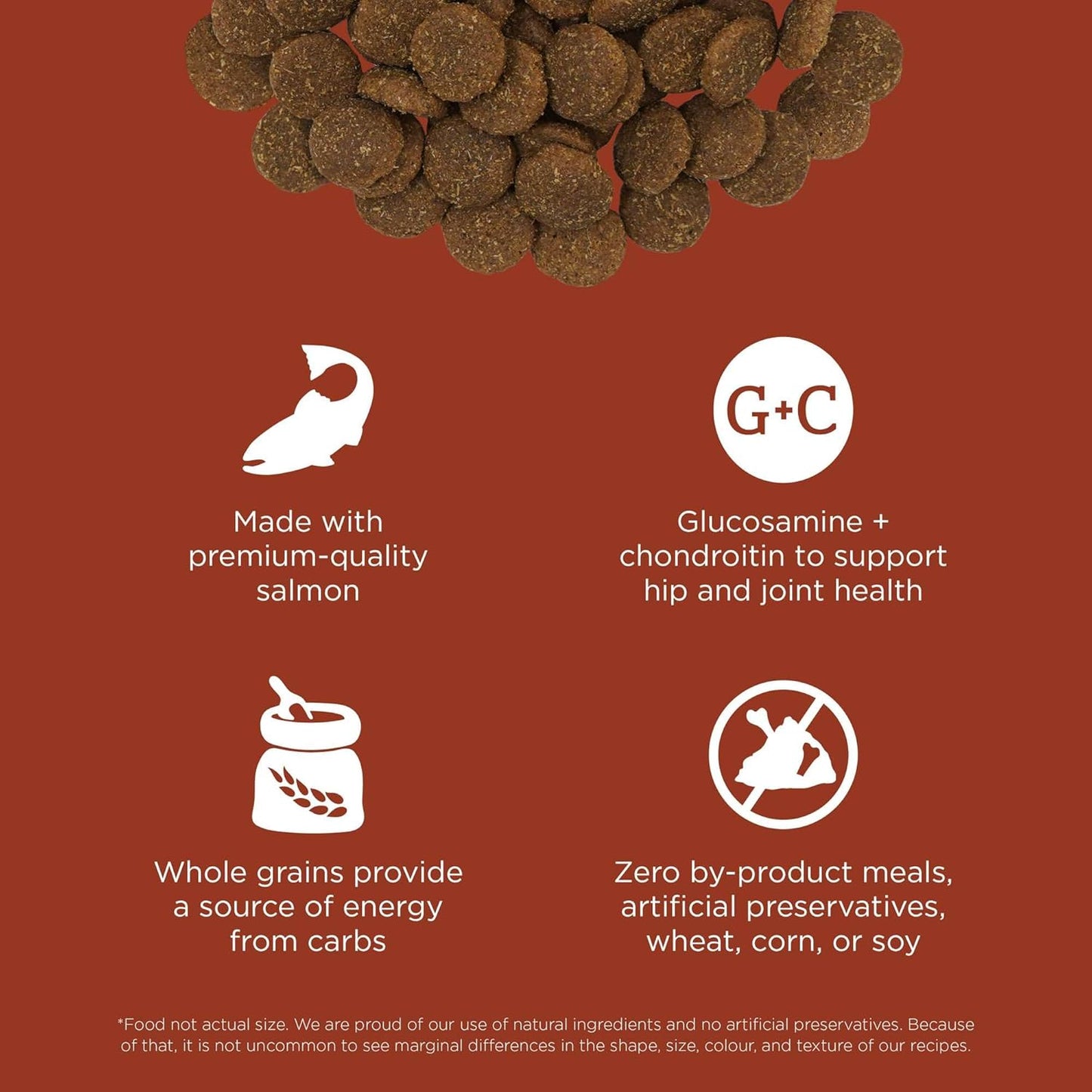 Go! Solutions Skin + Coat Care, Dry Dog Food, Large Breed Adult Salmon Recipe with Grains, 25 lb Bag