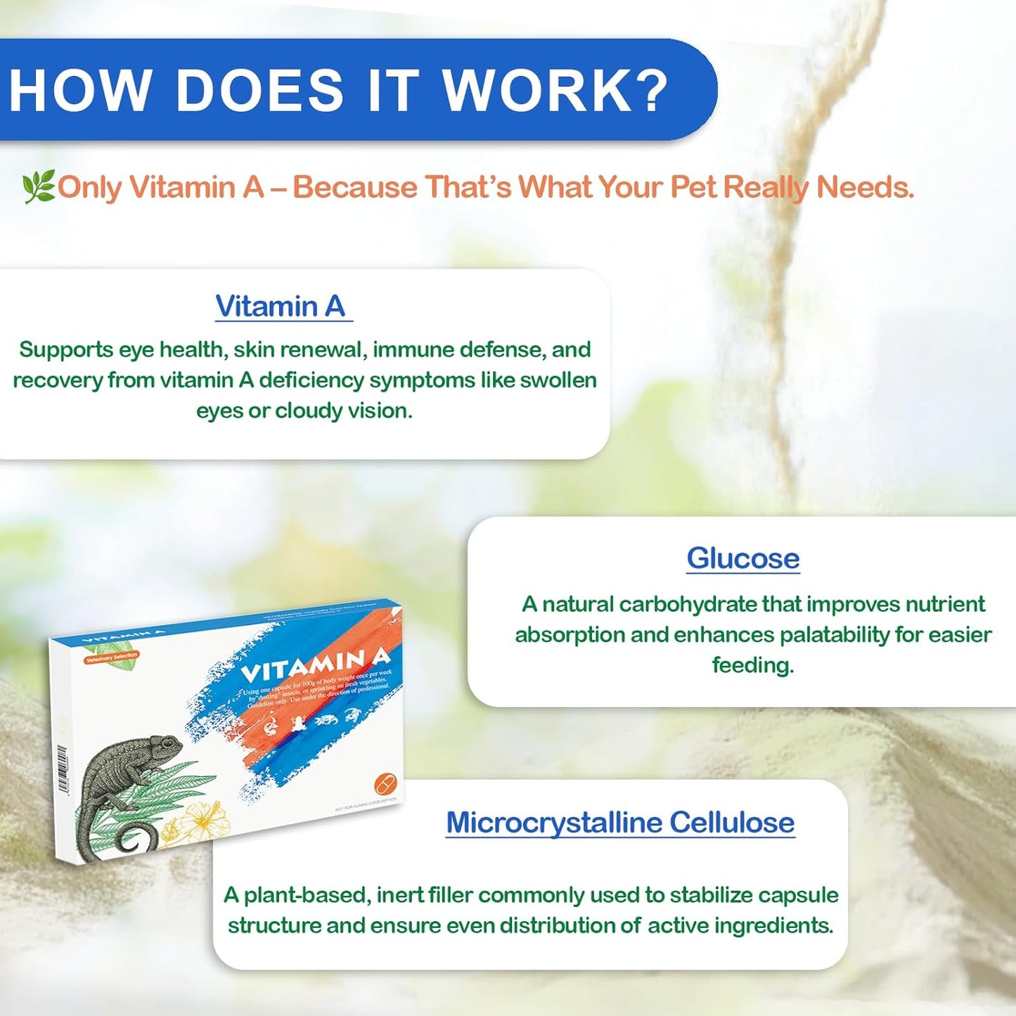 Reptile Vitamin A Supplement – Eye Health Support for Lizards, Turtles, Snakes & Amphibians – Promotes Growth, Vision & Immunity