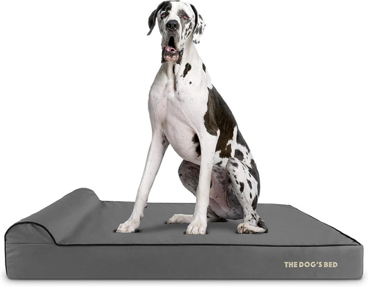 The Dog’s Bed Orthopedic Headrest Dog Bed XXL Grey/Black 54x36, Memory Foam, Pain Relief for Arthritis, Hip & Elbow Dysplasia, Post Surgery, Lameness, Veterinary Approved, Waterproof Washable Cover