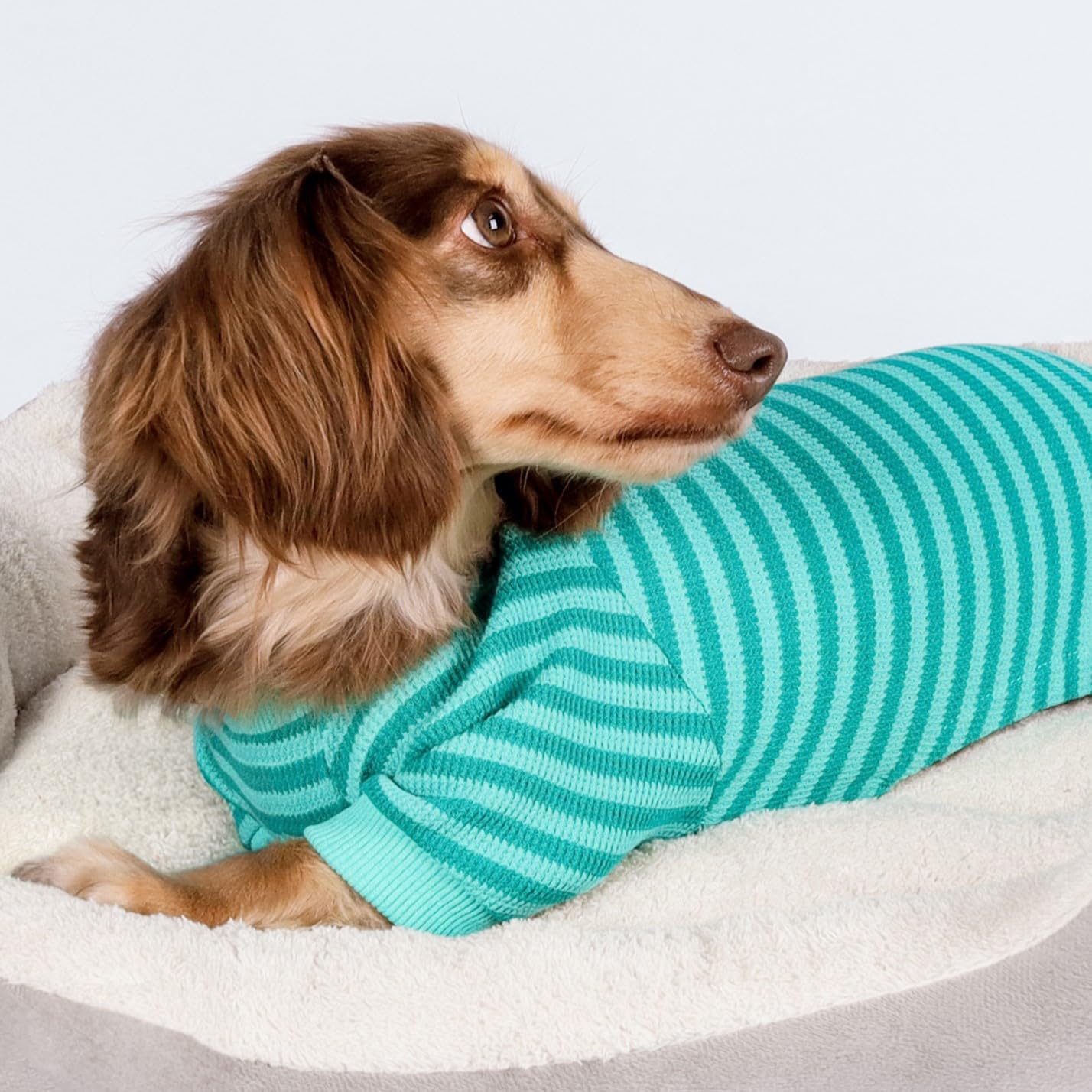 Fitwarm Green and Teal Striped Dog Pajamas, Waffle Dog Clothes for Small Dogs Girl Boy, Puppy Onesie with Feet, Pet Cat Outfit, XXL