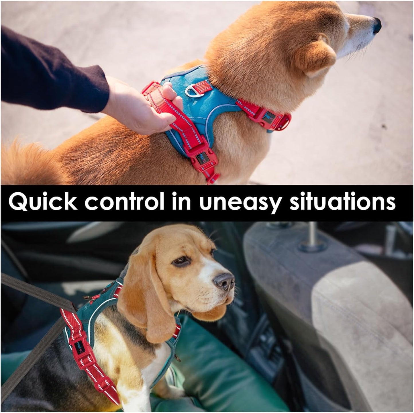 PHOEPET No Pull Dog Harness, Unique Colors Reflective Adjustable Dog Vest, with Soft Training Handle Metal Clips for Small Medium Large Dogs (Teal Base & Red Straps,XL)