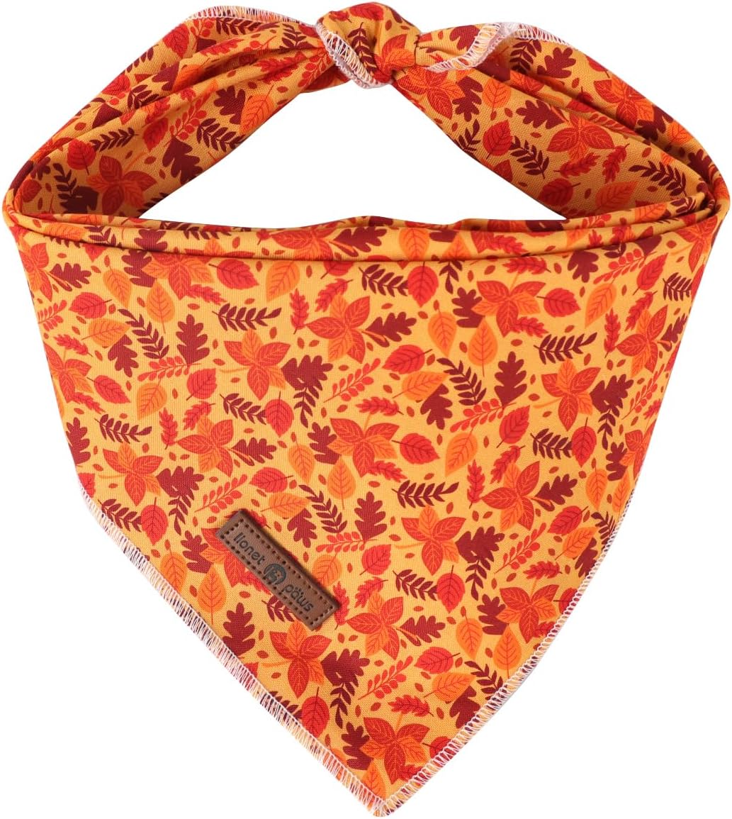 Lionet Paws Fall Dog Bandana for Small Medium Large Dogs, Cat Dog Kerchief Washable Dog Triangle Bibs Scarf for Girl or Boy