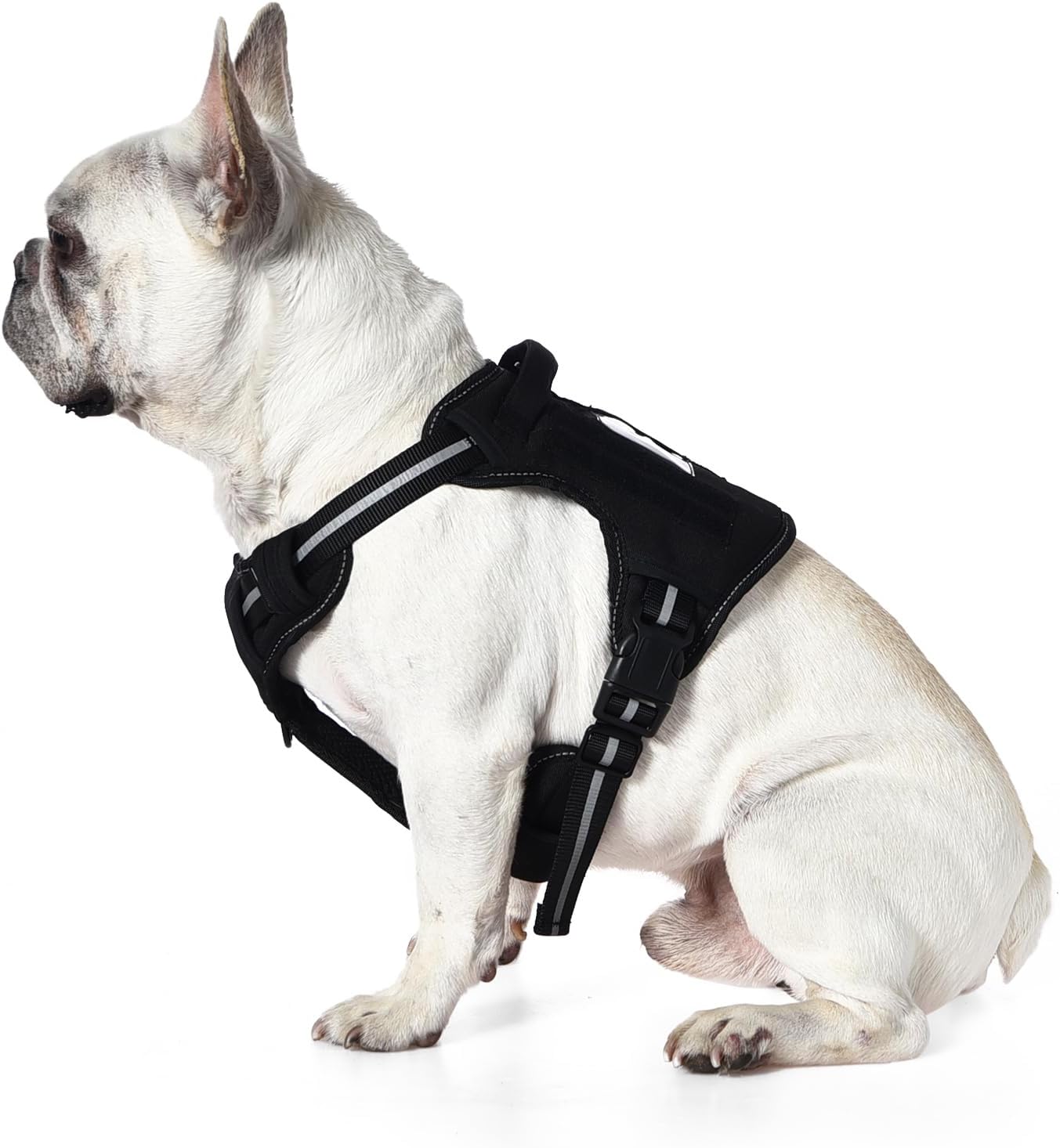 Amazon Basics No Pull Dog Harness, Adjustable Front Clip, Tactical Vest, Small, Black