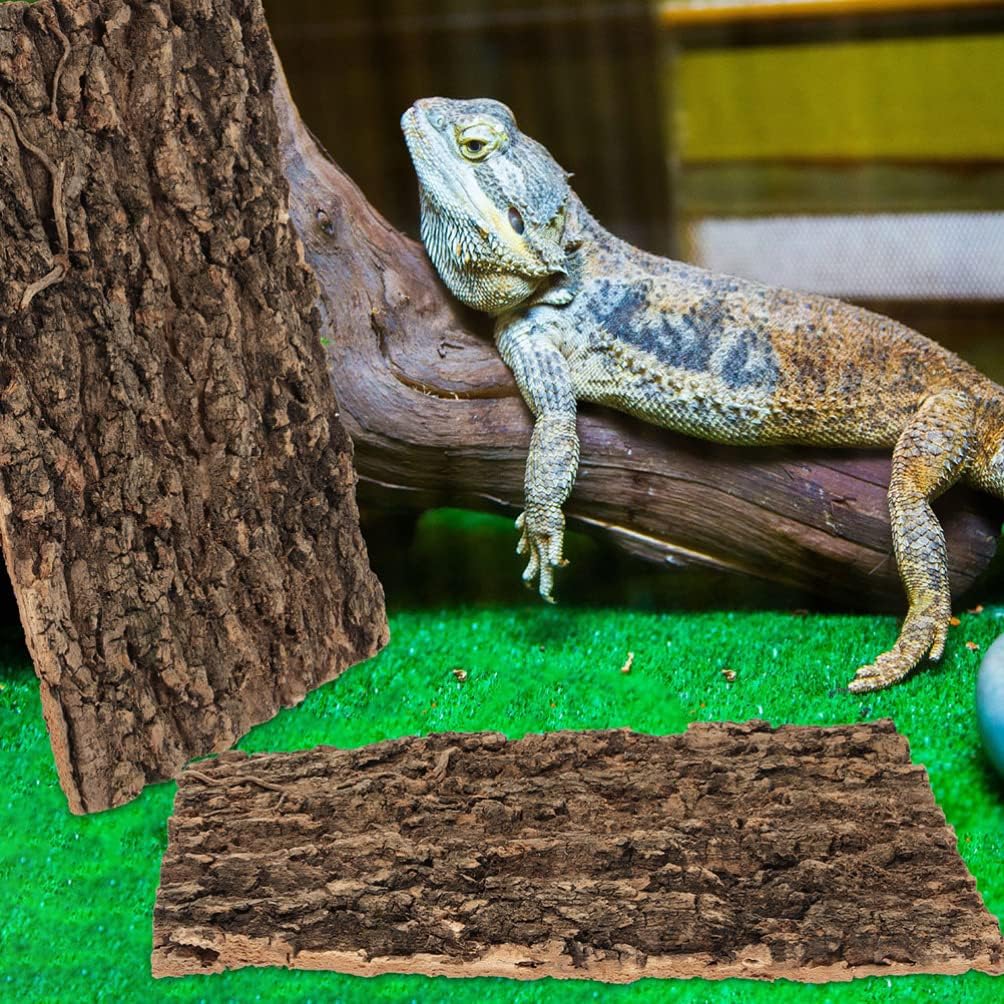Totority Cork Bark 3Pcs Plants Decor Cork Terrarium Background, Cork Tile Background Decorative Tree Bark Adornment Reptile Climbing Plaything for Gecko Lizard Tortoise Frog Bearded Dragon Tank Access
