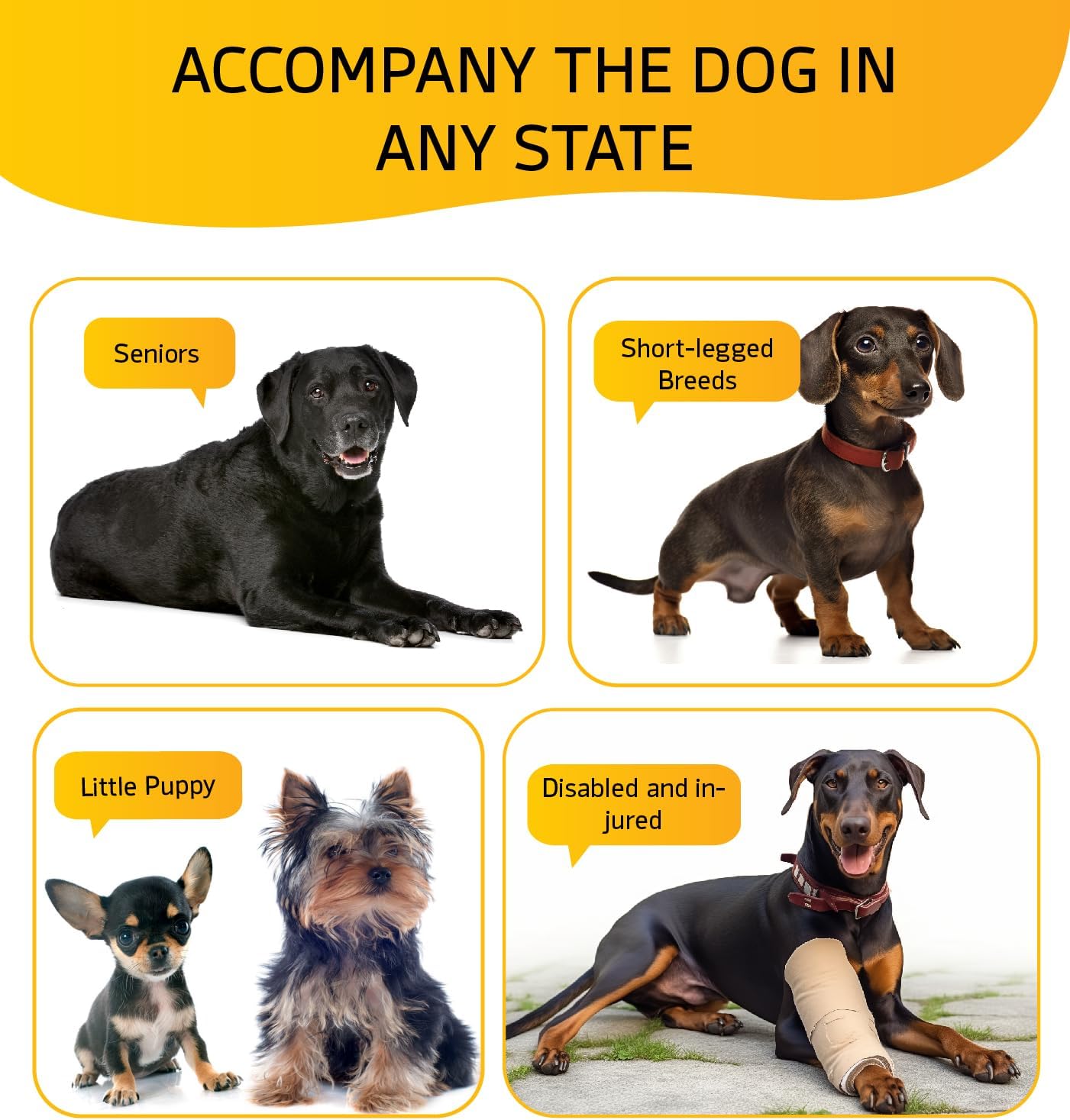 Dog Stairs for High Bed, Dog Steps for Bed Couch Sofa, 35D Foam Extra Wide Pet Steps for Small Dogs and Cats, Pet Stairs with Non-Slip Bottom Grey, 5 Steps