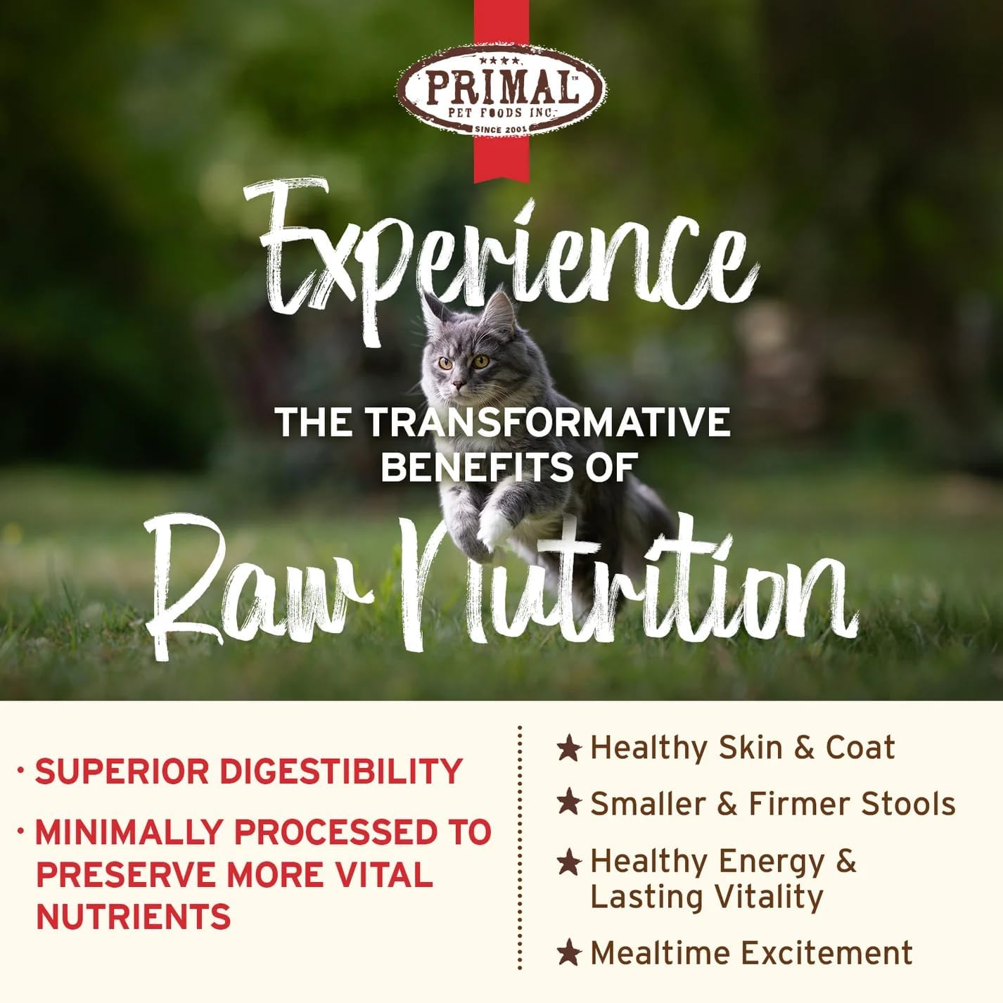 Primal Kibble in The Raw, Freeze Dried Cat Food, Chicken, Scoop & Serve, Made with Raw Protein, Whole Ingredient Nutrition, Crafted in The USA, Dry Cat Food, 24 Ounce (1.5 lb) Bag