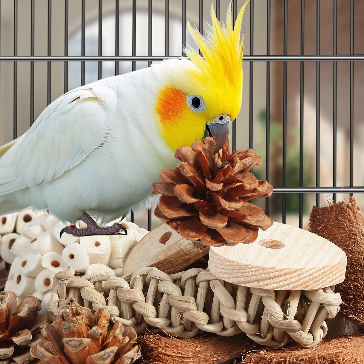 Kyouki Bird Toys Parrot Natural Bird Foraging Box Foot Toys for Parakeets,Cockatiels,Conures,Love Birds,and Other Small to Medium Birds (Large)