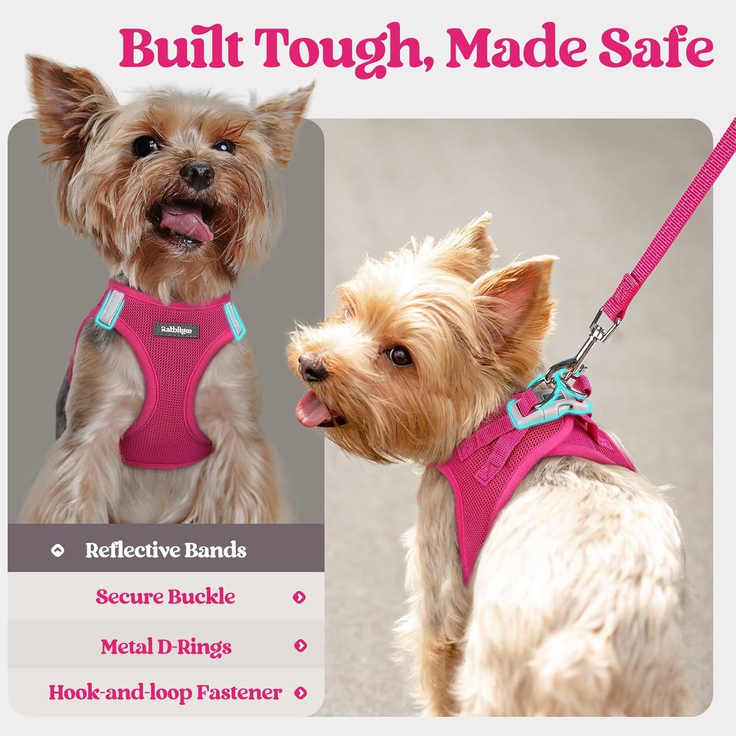 rabbitgoo Dog Harness Small Sized and Leash Set, Step in Soft Light Puppy Vest, Breathable Mesh Pet Harness, Reflective for Safe Easy Walking, Rose Red M
