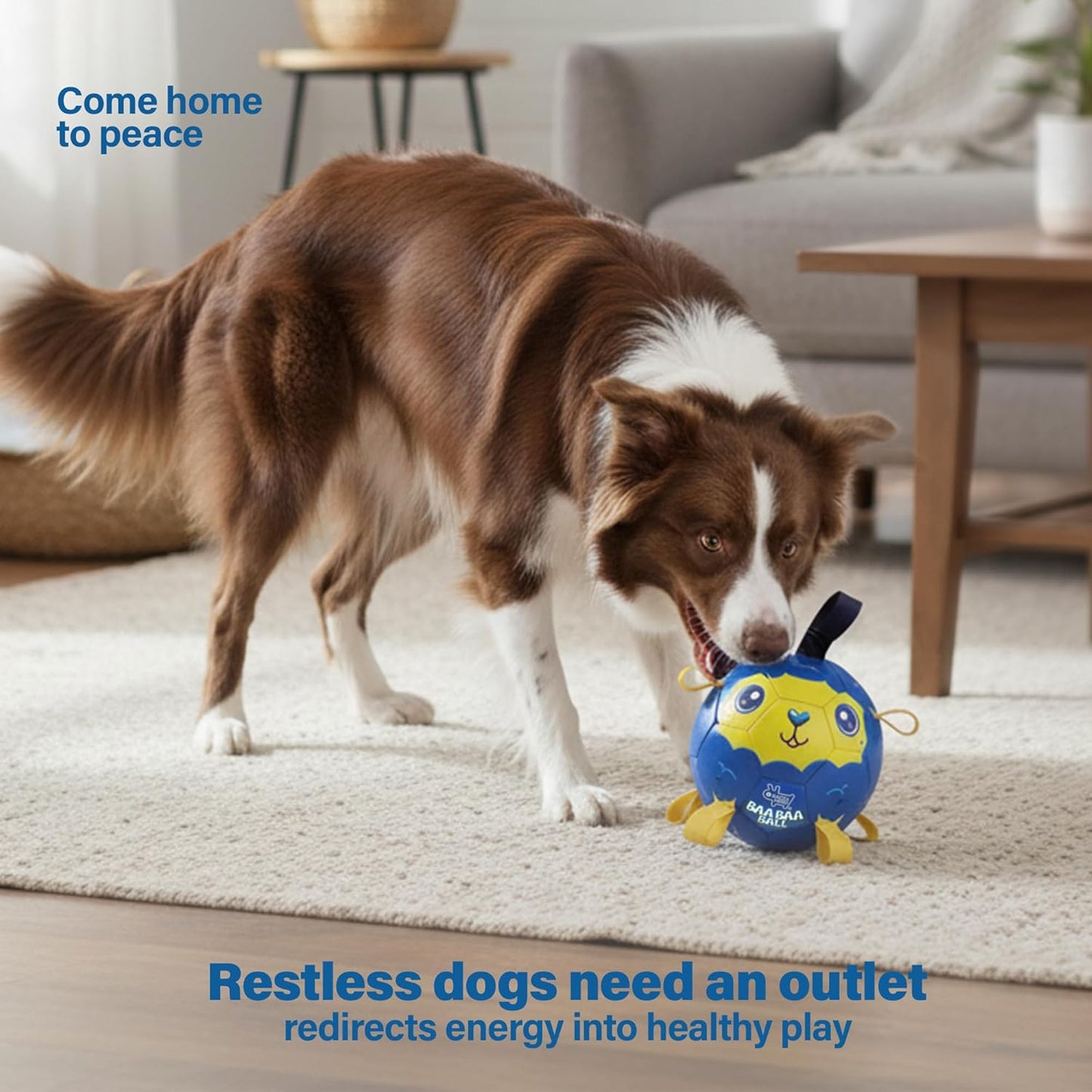 Race&Herd 6" Jolly Soccer Ball for Dogs - Tough Durable Dog Ball Toy with Straps, Pet Bouncy Herding Balls for Dogs, Floating Dog Balls with Tags for Water Fetch (BaaBaaBall, Alien Sheep)