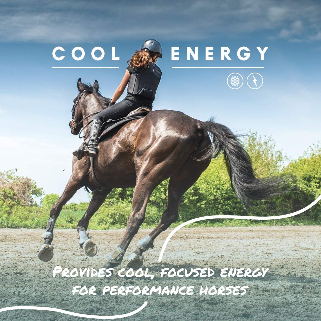 Manna Pro Cool Calories 100 – Equine Fat Supplement for Horses, Supports Healthy Weight Gain, Muscle Maintenance & Shiny Coat, Concentrated Dry Fat Calorie Booster, Low-Starch Formula, 8 lb Bag