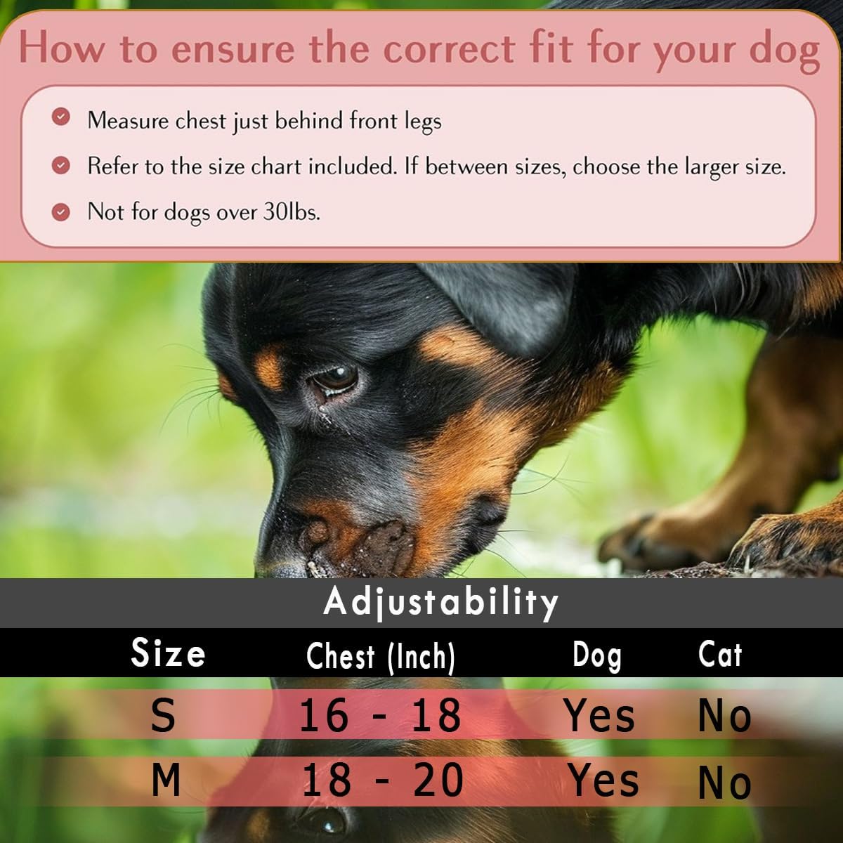 Comfort Fit Dog Harness Soft Padded No Pull Harness with Adjustable Buckles for Small Medium Large Dogs Step in Pet Vest with Easy Control Handle for Walking Jogging Running Training Dogs & Puppies