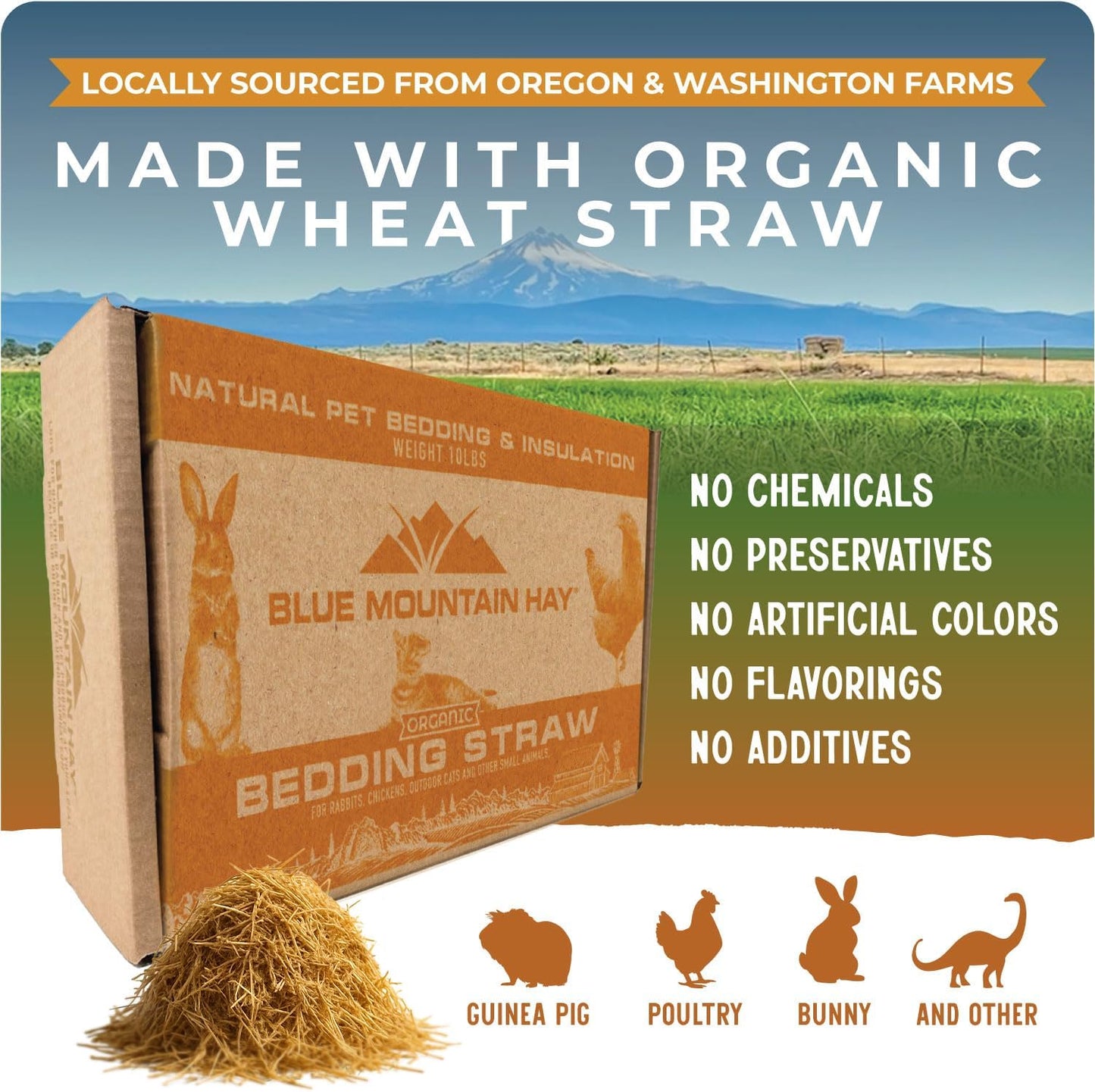 Blue Mountain Hay | Organic Bedding Straw (10 lb) | Natural Pet Bedding & Insulation for Rabbits, Guinea Pigs, Goats, Chickens, Stray & Feral Cats, and Small Animal Shelters