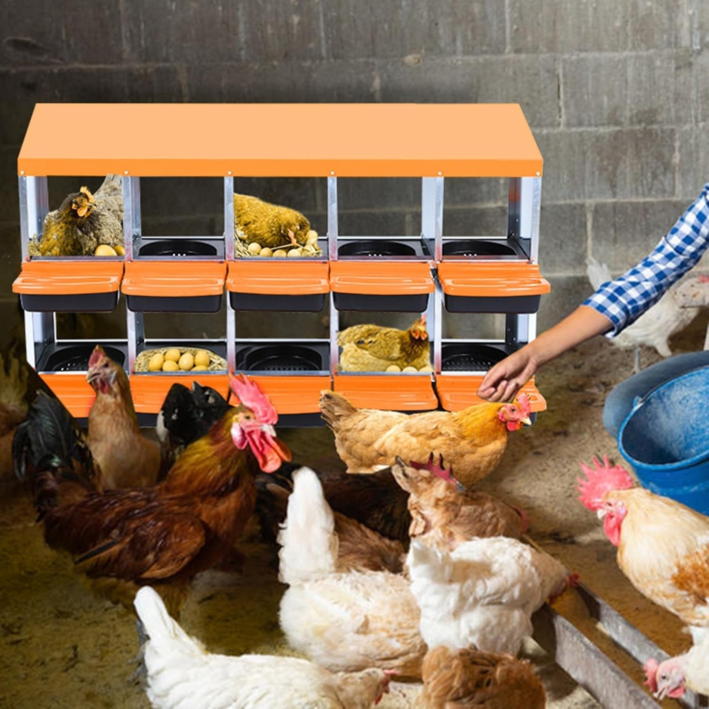 Chicken Nesting Boxes, 10 Hole Metal Chicken Laying Box with with Removable Trays and Roll Out Egg Collection for Chicken Coop, Orange
