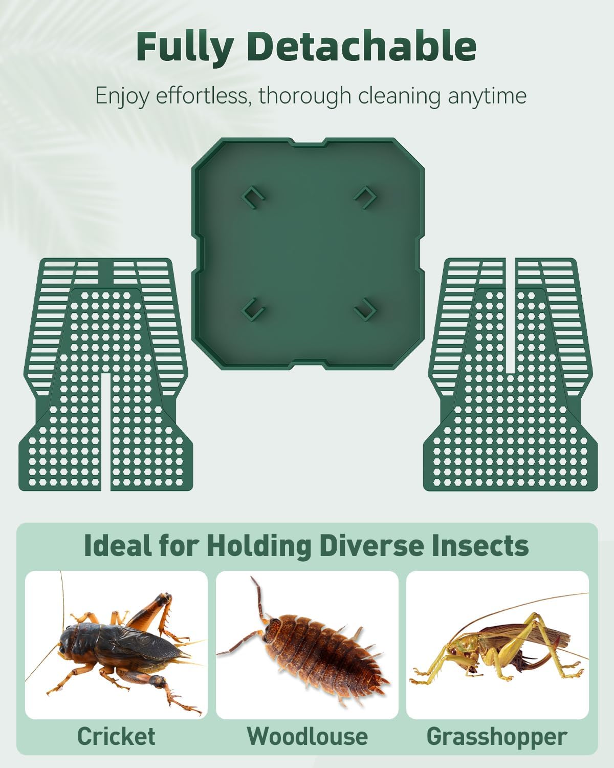 Pawfly Reptile Feeder Box, Chameleon Feeding Bowl, Climbable Chameleon Feeder, Bearded Dragon Food Keeper, Insect Container for Lizards, Geckos, and Frogs