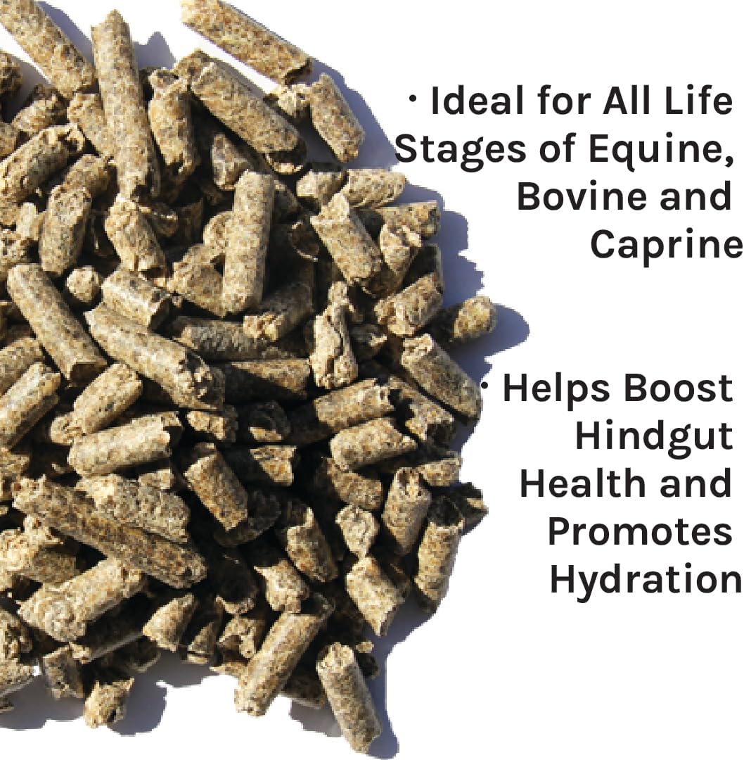 New Country Organics | Beet Pellets | Beet Pulp for Horses | Higher Fibre and Non-GMO | 40 lbs