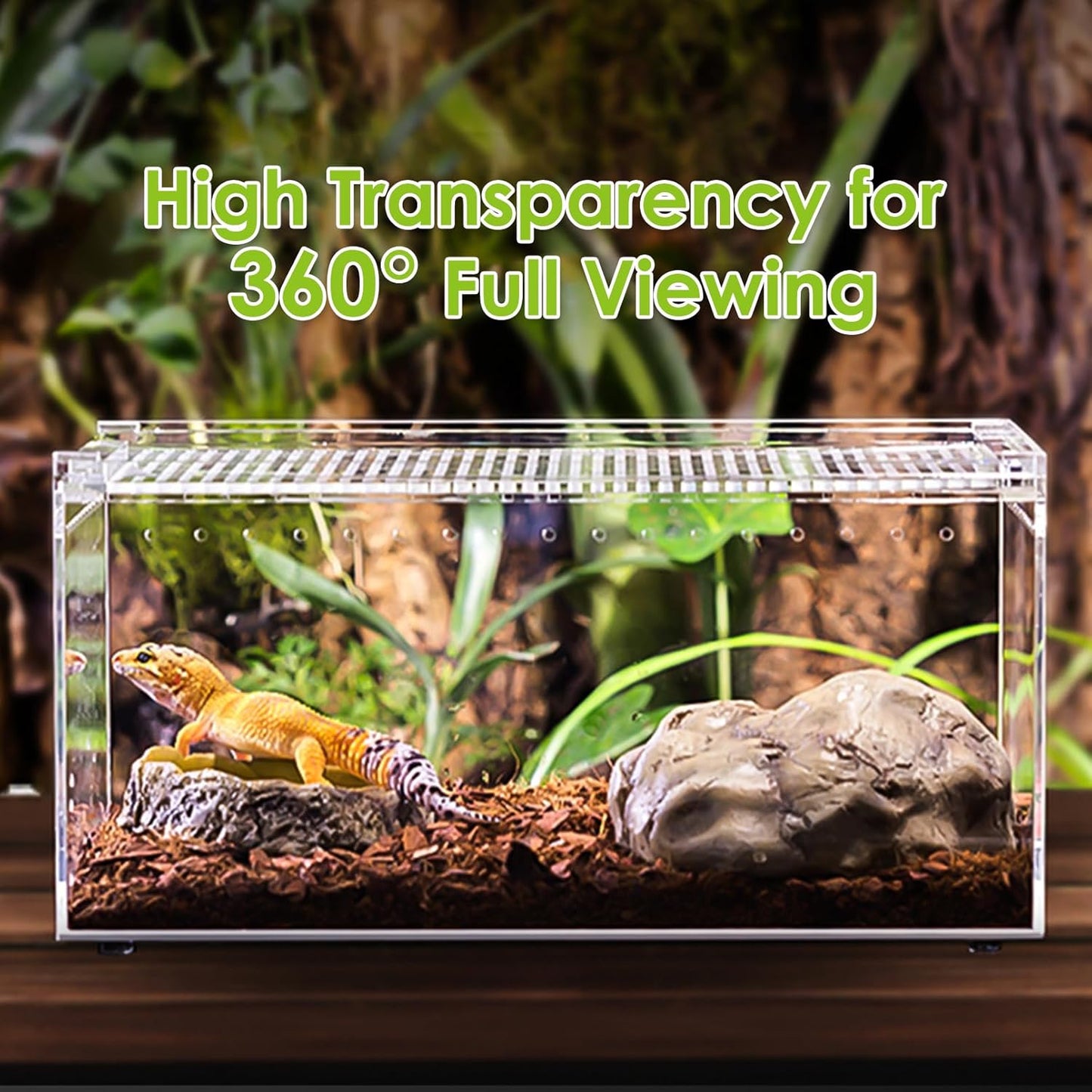 Reptile Terrarium Enclosure 12"X 8"X 6" Acrylic Tarantula Breeding Box Magnetic Hermit Crab Habitat Tank Transparent Jumping Spider Cage for Insect Snail Amphibians Sling Isopods (2.5 Gallon)