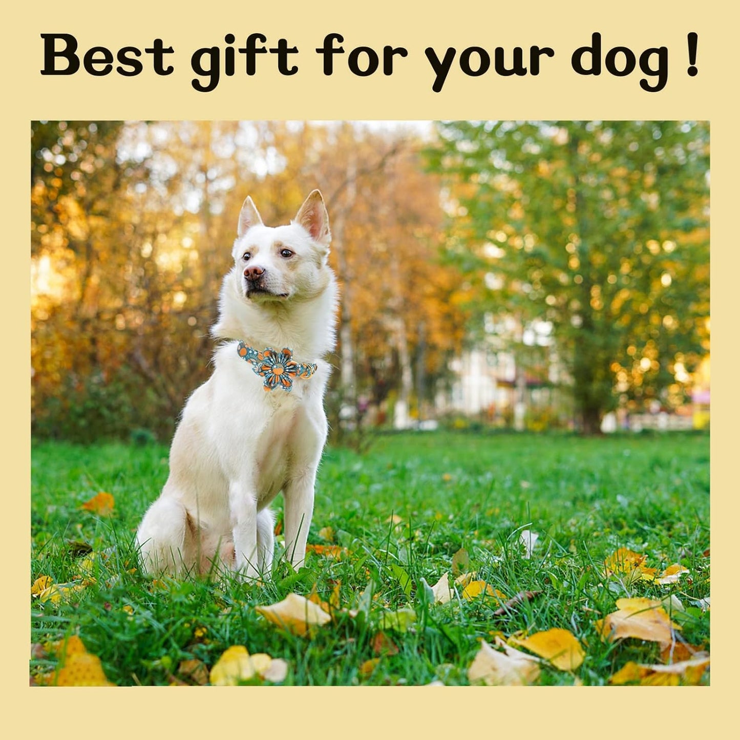 Unique style paws Halloween Dog Collar with Flower Tie Pumpkin Cotton Collar Adjustable Puppy Collar for Small Medium Large Dogs-XL