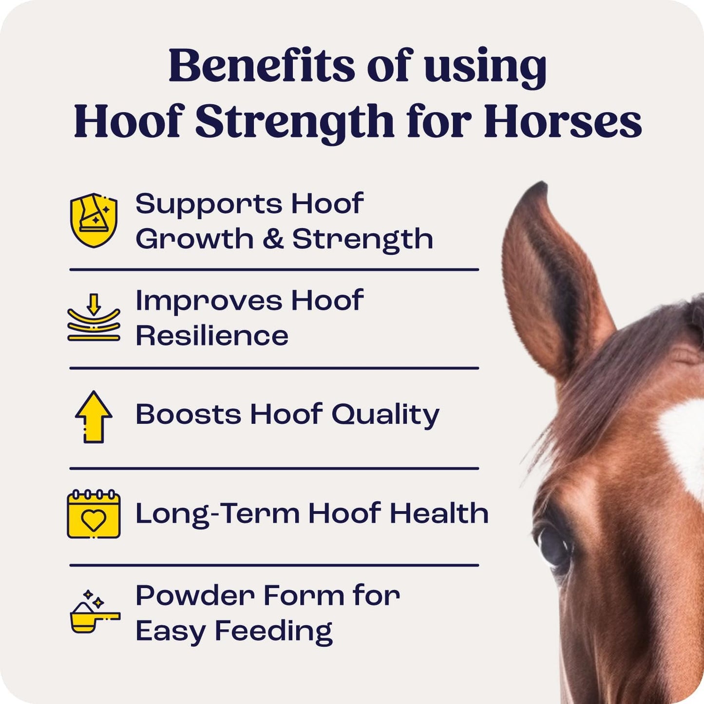 Summit Equine Hoof Strength Powder for Horses, Promotes Healthy Hooves with Biotin, Amino Acids, and Minerals, Horse Hoof Supplement,11 oz, 30-Day Supply