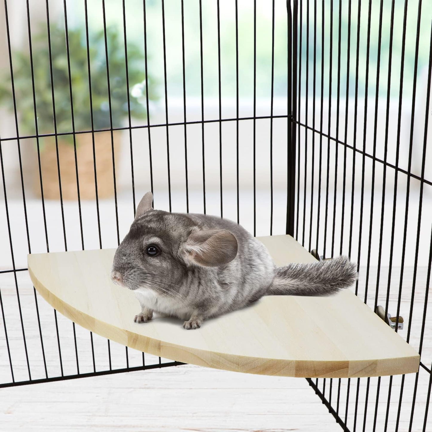 Wontee Bird Perch Stand 2 Pack Wooden Platform Corner Ledge for Budgies Cockatiels Conures African Greys Rats Gerbils Chinchillas Squirrels (XL (9.4"x9.4")