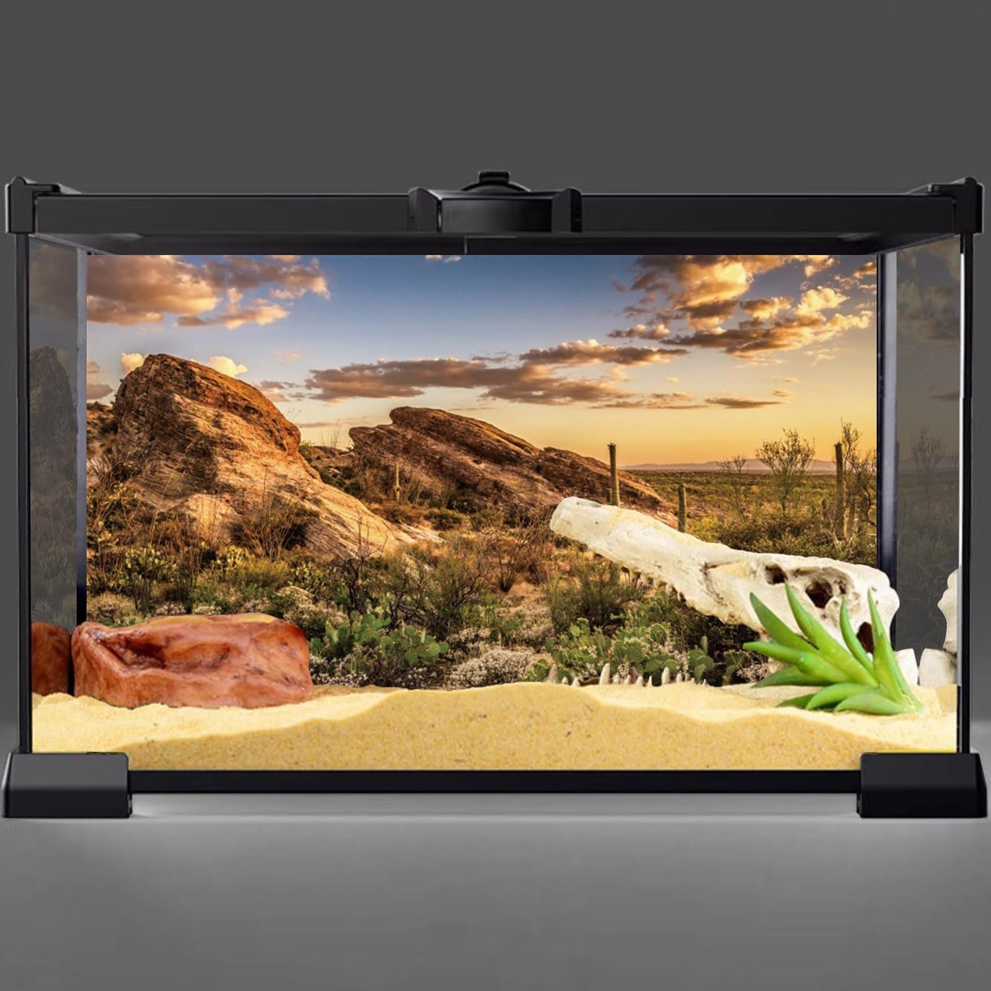 AWERT Reptile Habitat Background Blue Sky Oasis Cactus Sun and Desert Terrarium Background 72x18 inches Durable Polyester Background