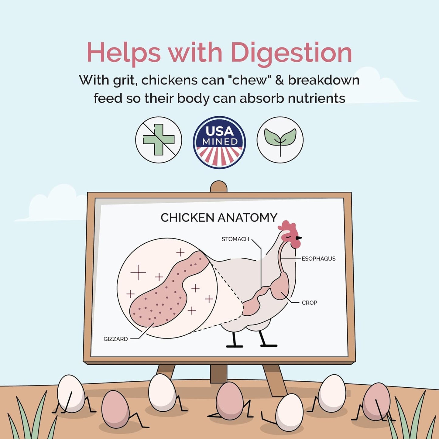Chick Grit for Baby Chicks - Chickens Age 0-8 Weeks, 100% Natural Mineral Chick Grit Quartzite, Poultry Grit Digestive Aid, USA Mined, 50 lb