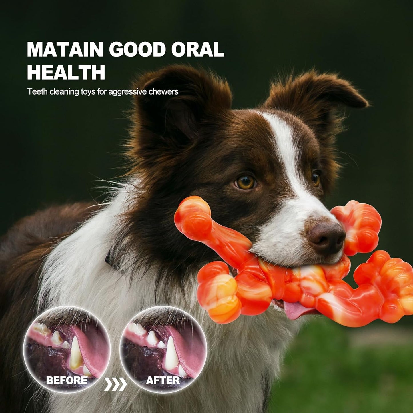 WinTour Indestructible Dog Toys for Large Dogs Aggressive Chewers, Tough Dog Toys for Aggressive Chewers Large Breed, Durable, Heavy Duty Chew Bone, Bacon Flavor