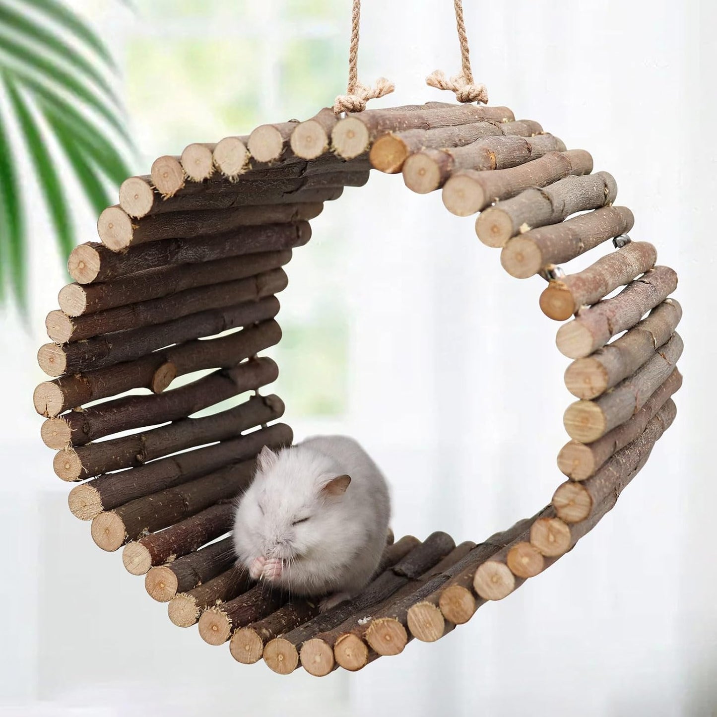 Bird Parrot Swing Toys, Hanging Bird Tree Caves, Natural Apple Wood Parrot Hammock, Bird Cage Accessories, Suitable for Little Bird Parakeets Cockatiels Lovebirds Hamster Rat (6.49" in Diameter)