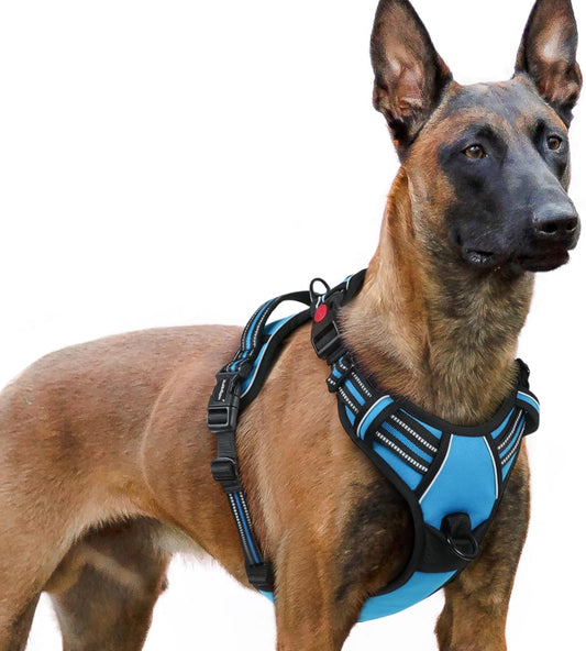 rabbitgoo Dog Harness for Large, No Pull Pet Harness with 3 Buckles, Adjustable Soft Padded Vest with Control Handle, Walking Reflective Pet Vest for Extra Large Dogs, Sky Blue, XL