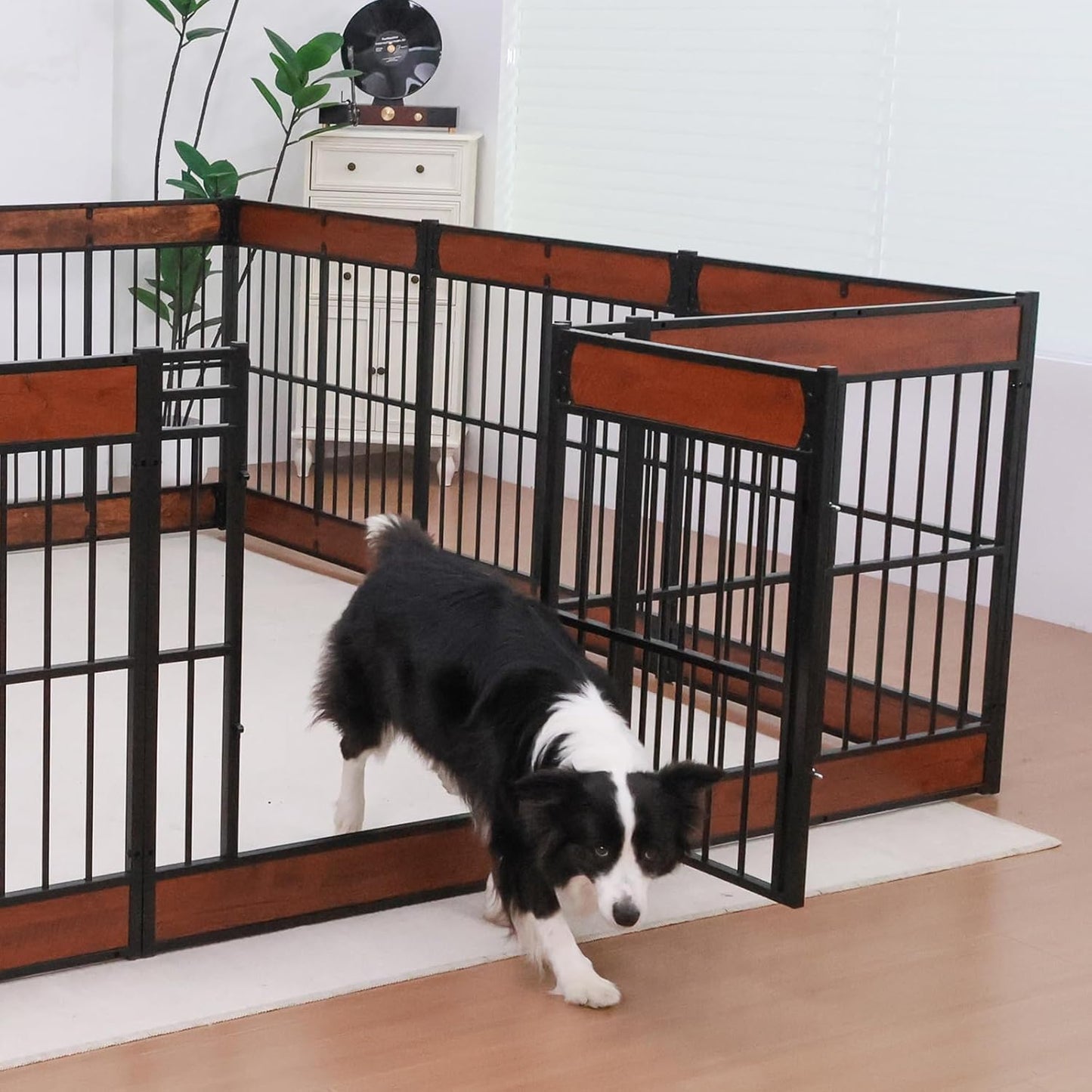Dog Playpen, 31.5" Height Dog Pen Indoor, Heavy Duty, Safe and Sturdy, Furniture Style Puppy Pen (12 Panels (31.5" High), Black)