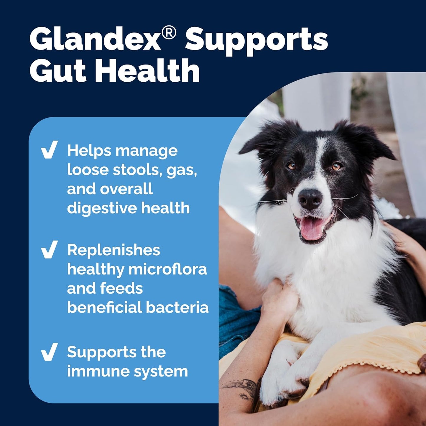 Vetnique Glandex Daily Probiotics for Dogs with Prebiotics to Support Gut Health with Fiber and Digestive Enzymes, Probiotic Chews or Powders (8.5oz Powder, Pork Powder)