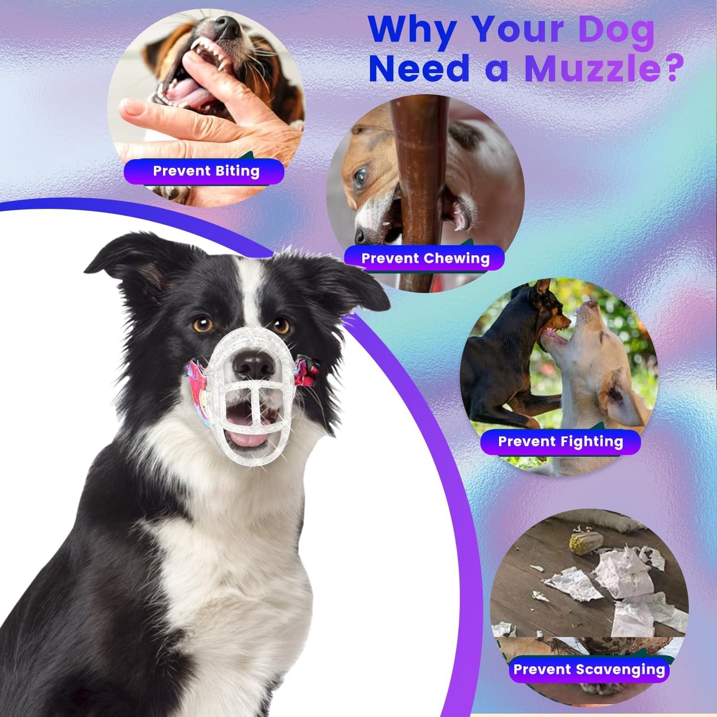 Basket Muzzle - Anti Biting Chewing, Sturdy Lightweight Allows Panting Drinking, Suitable for Grooming Trimming Training - Transparent, Size 5