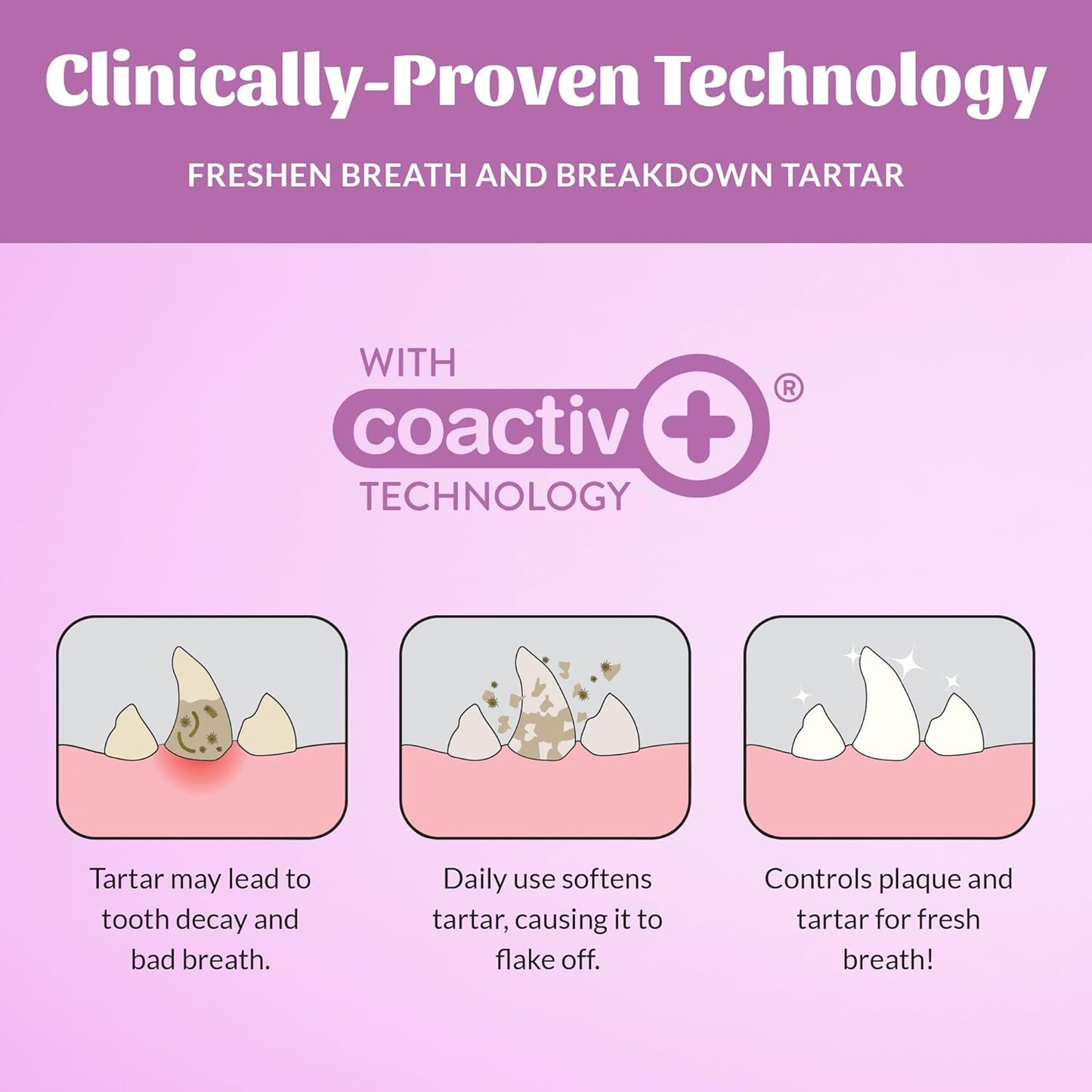 SKOUT'S HONOR Pet Dental Wipes - Fights Plaque and Tartar, Freshens Breath Fast, No Brushing Required, 50 Sheets, 2-Pack