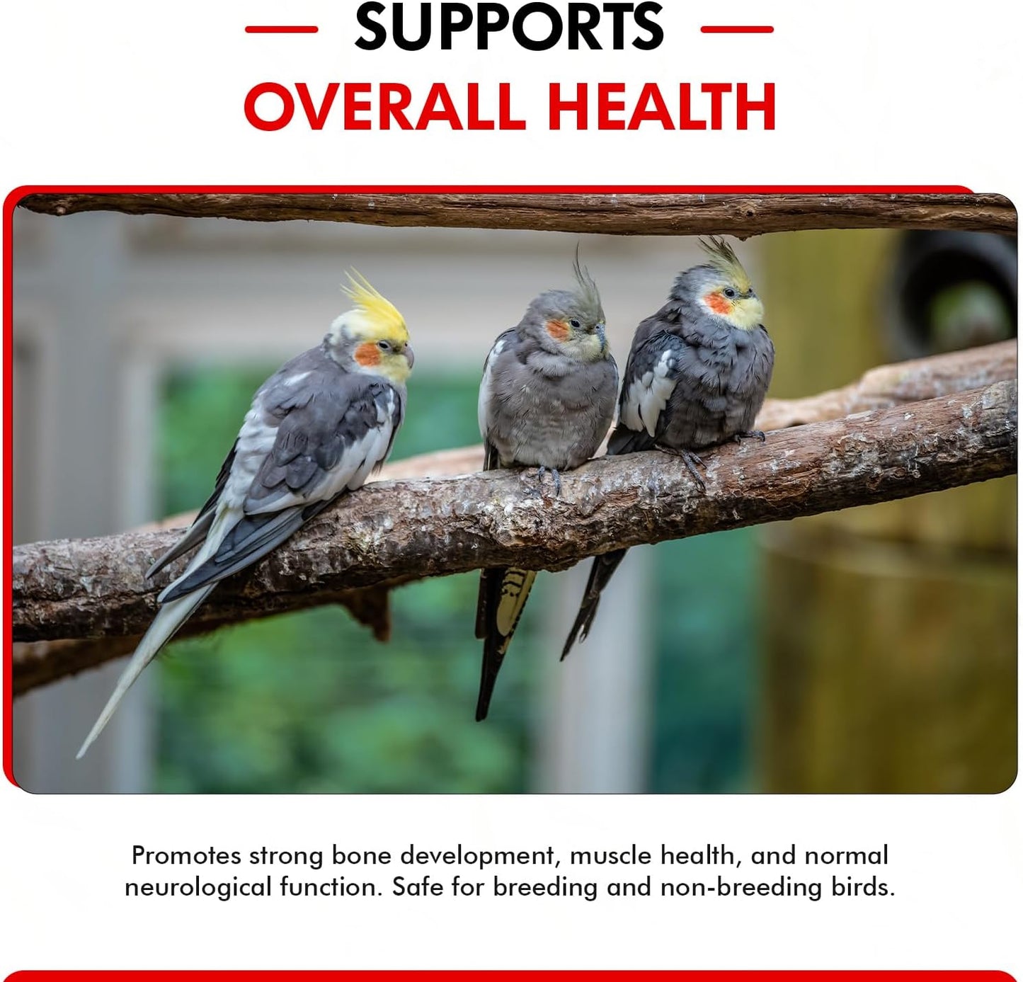 Morning Bird Calcium Plus Liquid Supplement for Birds - Liquid Calcium Formula with Magnesium and Vitamin D3 Calcium Supplement for All Birds – 8 Fl Oz