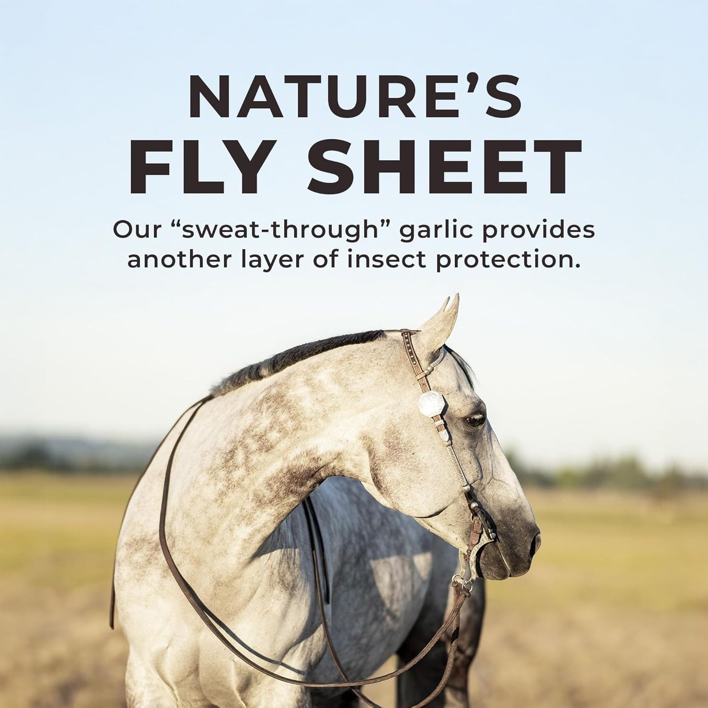 REDMOND Daily RED Crushed - Mineral Supplement for Horses (Garlic (5 LB))