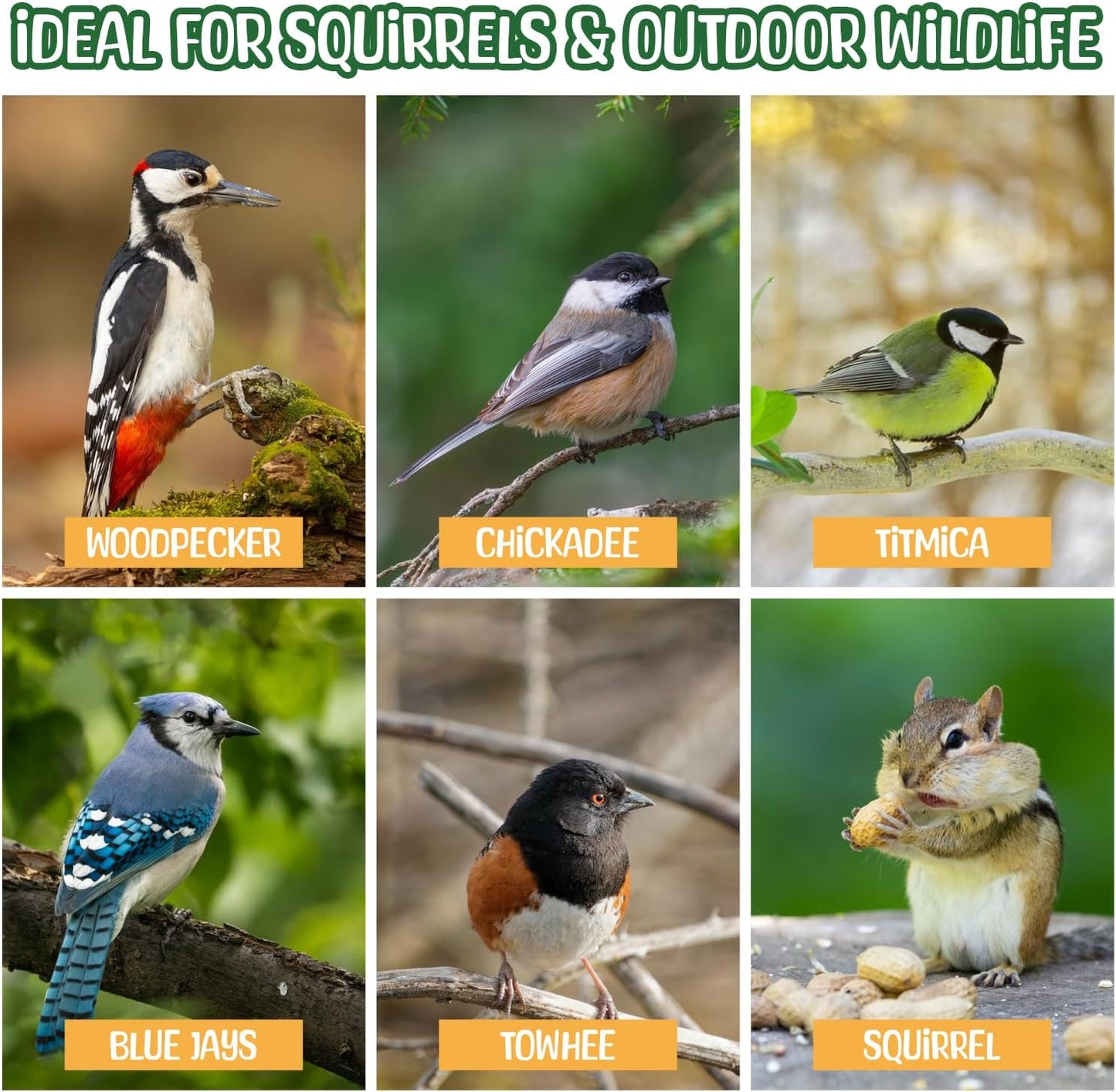 Premium Quality- 25 Pound Raw Peanuts in Shell – All-Natural Food for Squirrels, Deer, Birds, and Other Wildlife Animals – Bulk Wholesale Bag – Grown in The USA for Healthy Nutrition