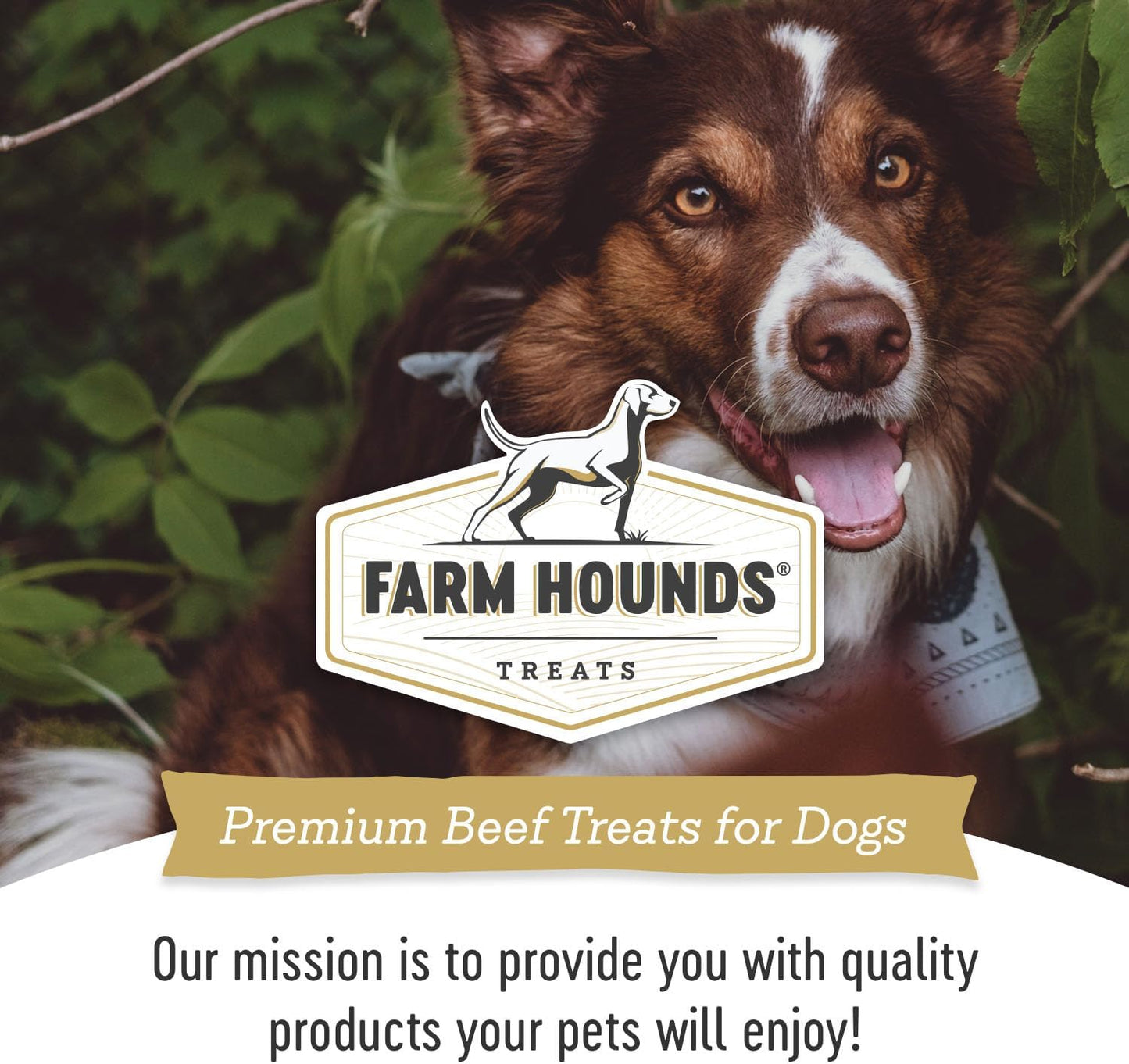 Farm Hounds - Beef Trainers - Premium Natural Beef Jerky for Dogs - Made from 100% Humanely Raised Cattle - Easy-Break - Great for Training & Treats - No Added Fillers - Made in USA - 4.5 oz - 2 Pack